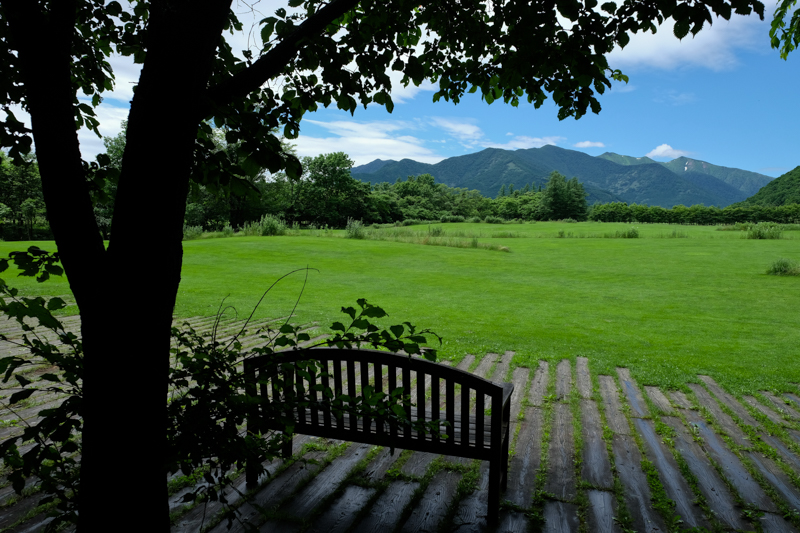 撮影：野呂希一<br><span class="fnt-90">X-H1 / 16mm（24mm相当） / 絞り優先AE（1/500秒・F8・±0EV） / ISO 400</span>