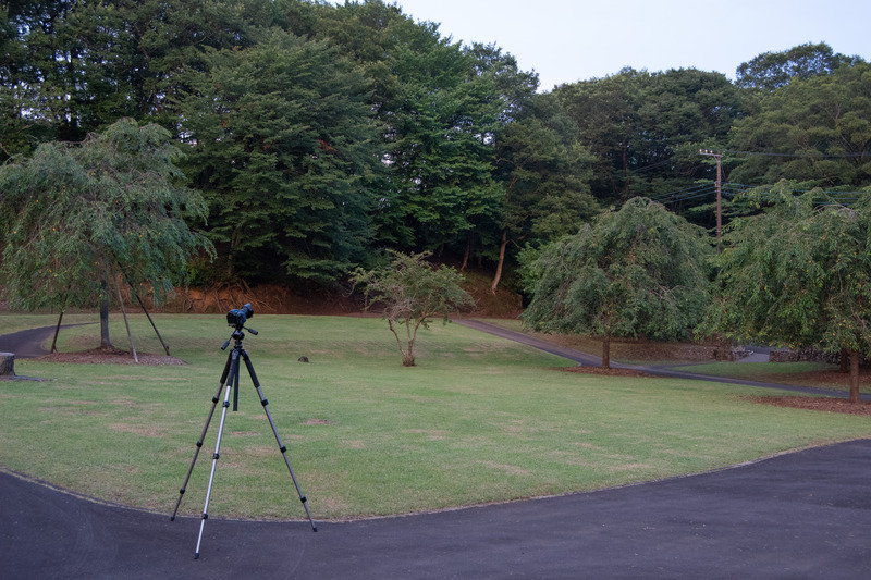 不必要な光が届かない場所を見つける。