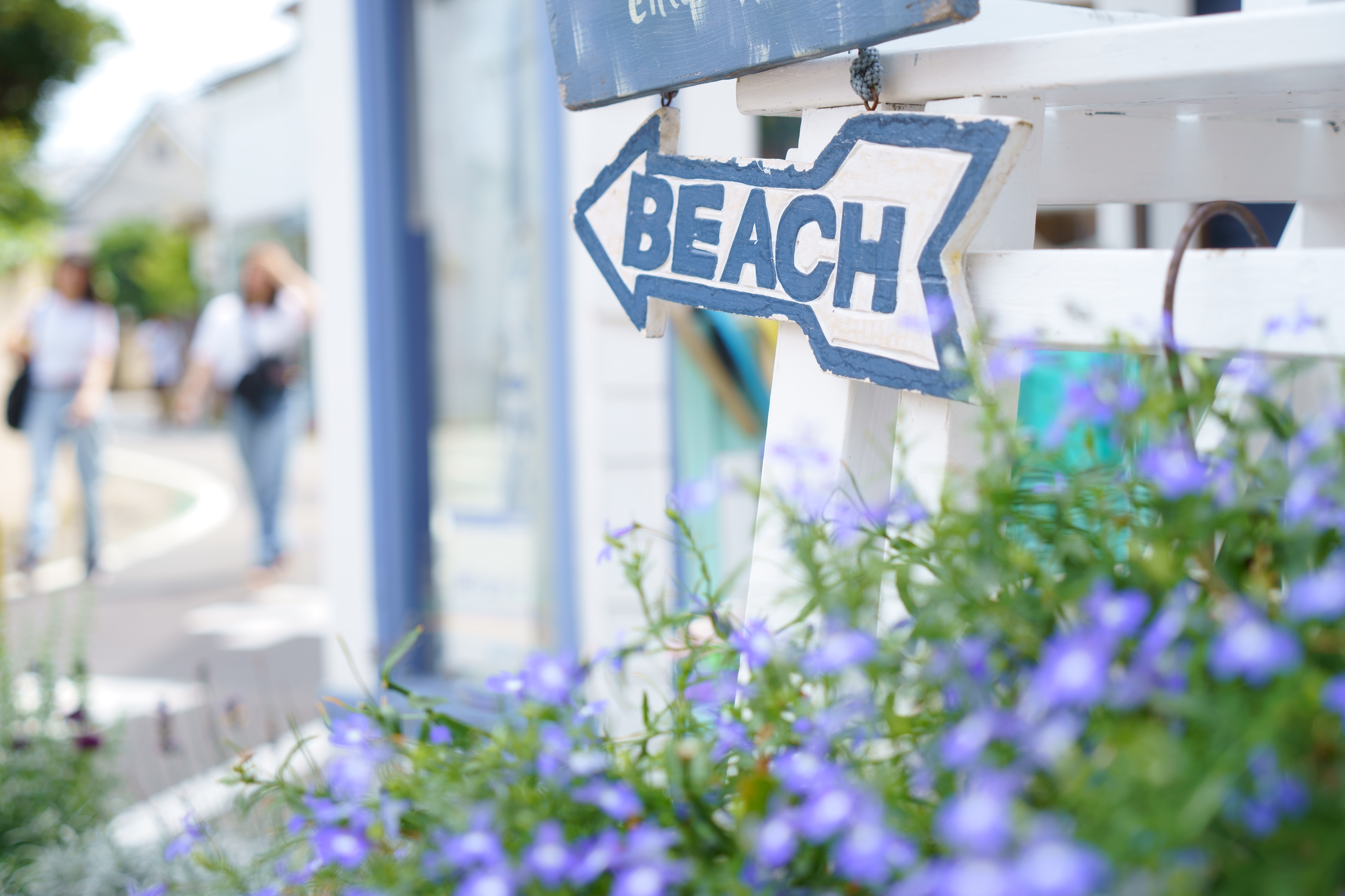 α7 III / Vario-Tesser T* FE 24-70mm F4 ZA OSS / 49mm / 絞り優先AE（1/160秒・F4.0・+1.3EV） / ISO 100