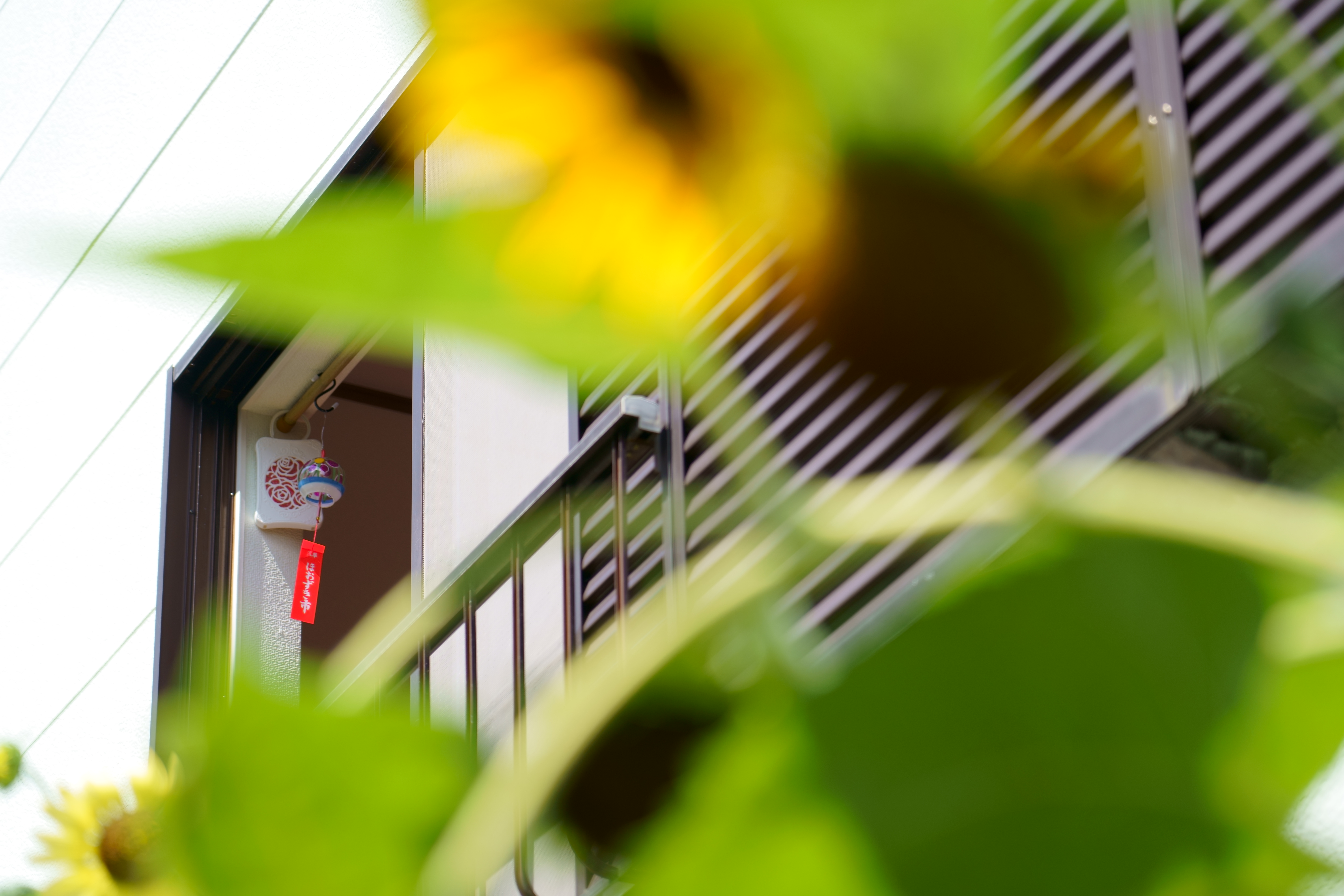 α7 III / FE 24-105mm F4 G OSS / 105mm / 絞り優先AE（1/320秒・F4.0・+0.7EV） / ISO 100