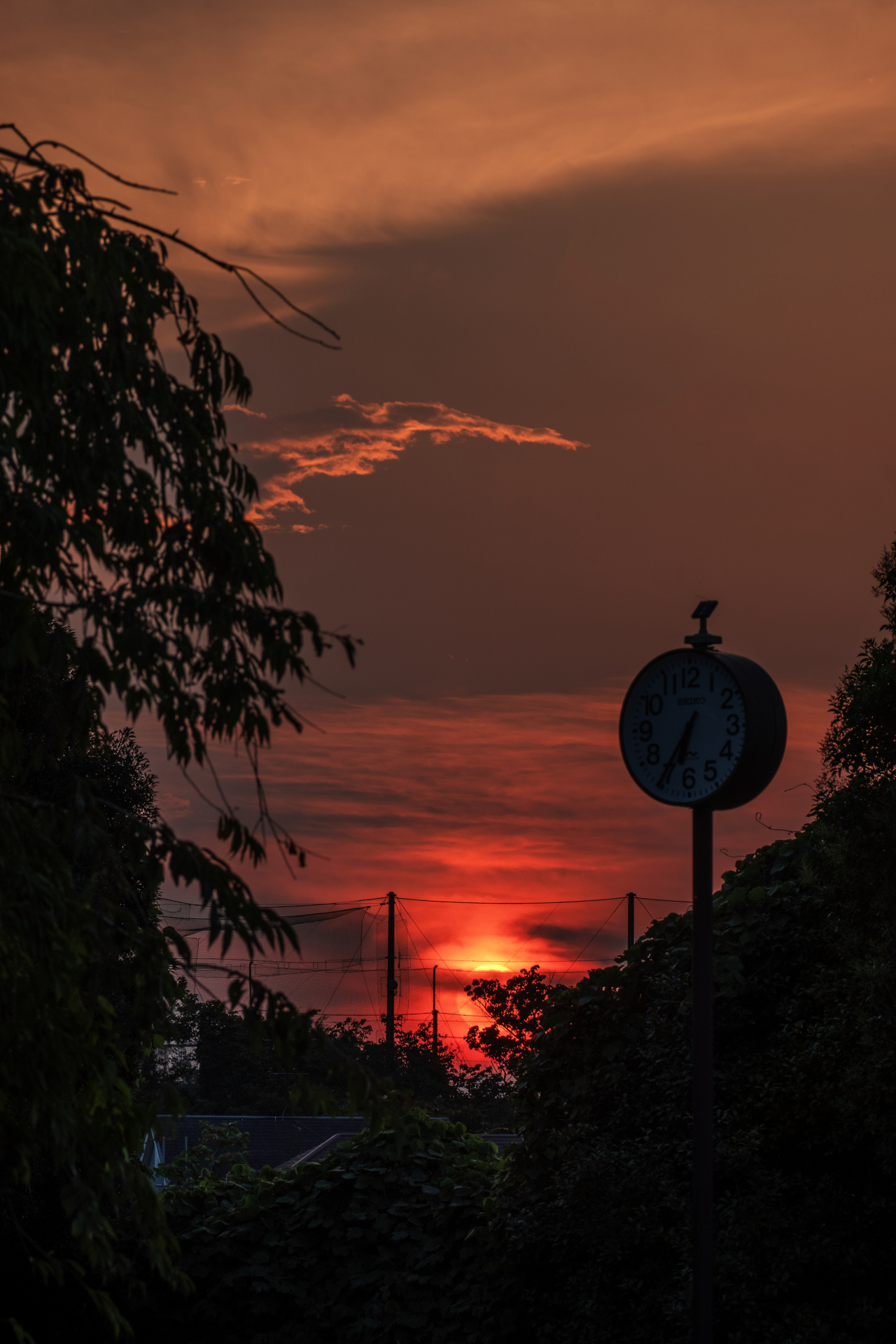 ライカCL側の画像処理性能が高いおかげか、ハイライト部のディテールが想像以上に再現された。ライカCL / ISO100 / F8 / 1/200秒 / WB:オート / 135mm