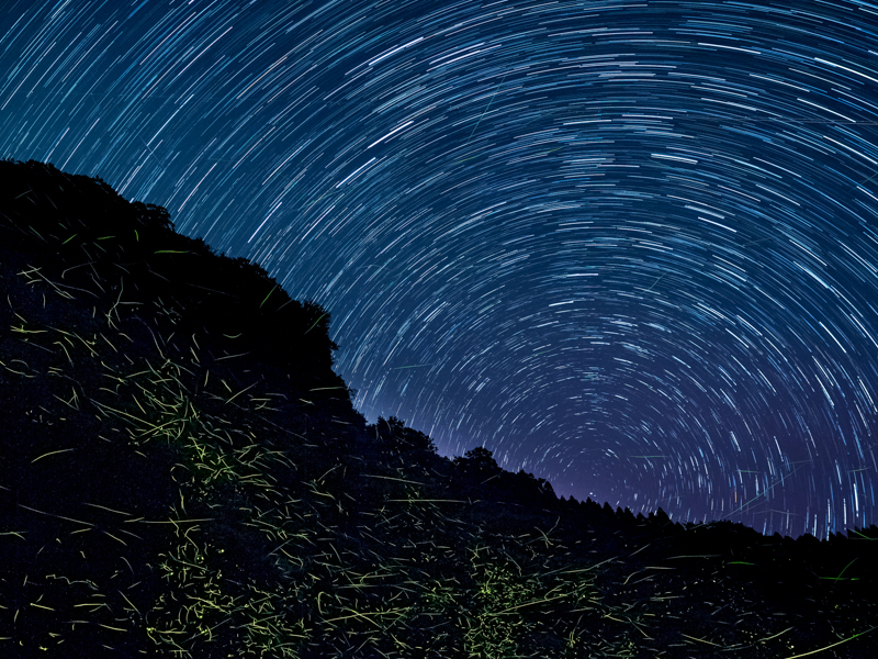 撮影：清家道子<br><span class="fnt-85">OLYMPUS E-M1 Mark II / M.ZUIKO DIGITAL ED 12-40mm F2.8 PRO / 12mm（24mm相当） / マニュアル露出（F2.8・1/30秒） / ISO 1250 / ライブコンポジット</span>