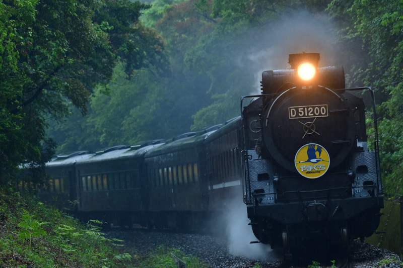 撮影：助川康史<br><span class="fnt-90">ニコン D850 / AF-S NIKKOR 200-500mm f/5.6E ED VR / 220mm /マニュアル露出（F5.6・1/125秒） / ISO 1600</span>