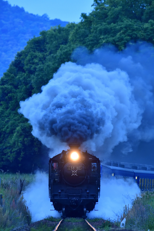 撮影：助川康史<br><span class="fnt-90">ニコン D850/ AF-S NIKKOR 200-500mm f/5.6E ED VR / 500mm / マニュアル露出（F5.6・1/100秒） / ISO 3200</span>