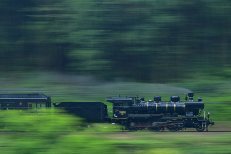 撮影：助川康史<br><span class="fnt-90">ニコン D850/ AF-S NIKKOR 200-500mm f/5.6E ED VR / 500mm / マニュアル露出（F16・1/5秒） / ISO 64</span>