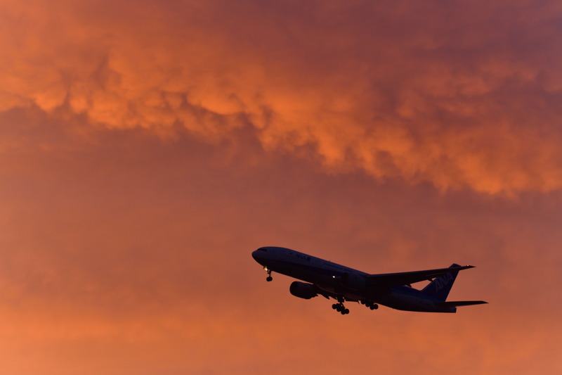 撮影：井上六郎