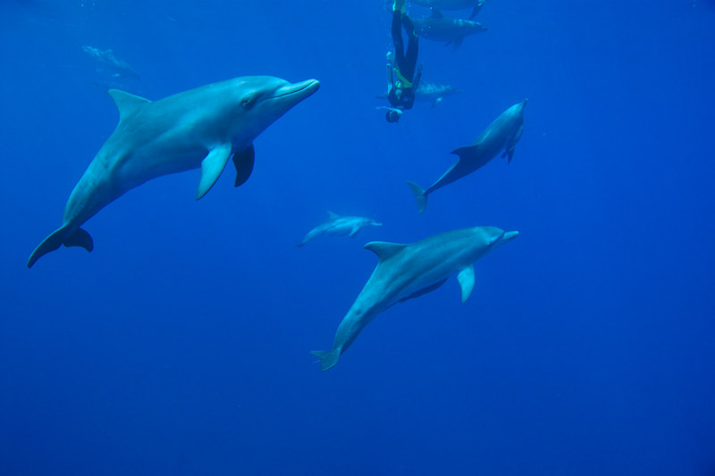 撮影：中村武弘