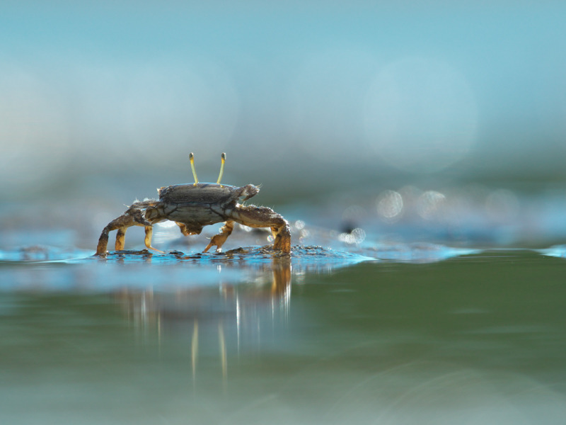撮影：中村武弘