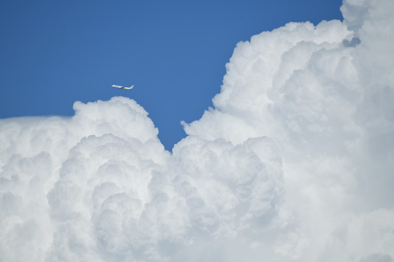 撮影：井上六郎