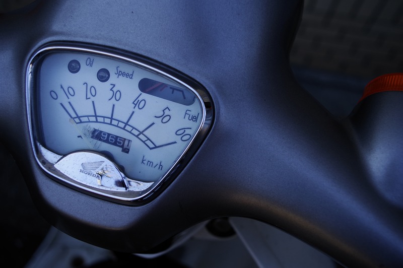 PENTAX KP / HD PENTAX-DA 20-40mm F2.8-4ED Limited DC WR / 絞り優先AE（F4・1/400秒・-0.7EV） / ISO オート（200） / カスタムイメージ リバーサルフィルム / WB 太陽光 / 30mm（45mm相当）<br>カスタムイメージ「リバーサルフィルム」とWB 太陽光の組み合わせで日陰で撮影すると、フィルムのような深みとブルーかぶりが相まって印象的な仕上がりになる。