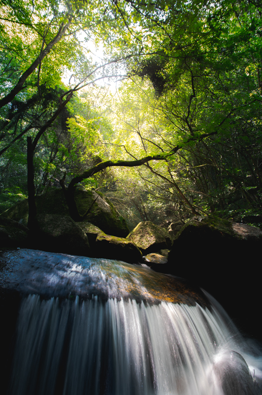撮影：木村琢磨<br><span class="fnt-90">PENTAX KP / HD PENTAX-DA 16-85mmF3.5-5.6ED DC WR / 16mm（24mm相当） / マニュアル露出（1/4秒・F8） / ISO 100</span>