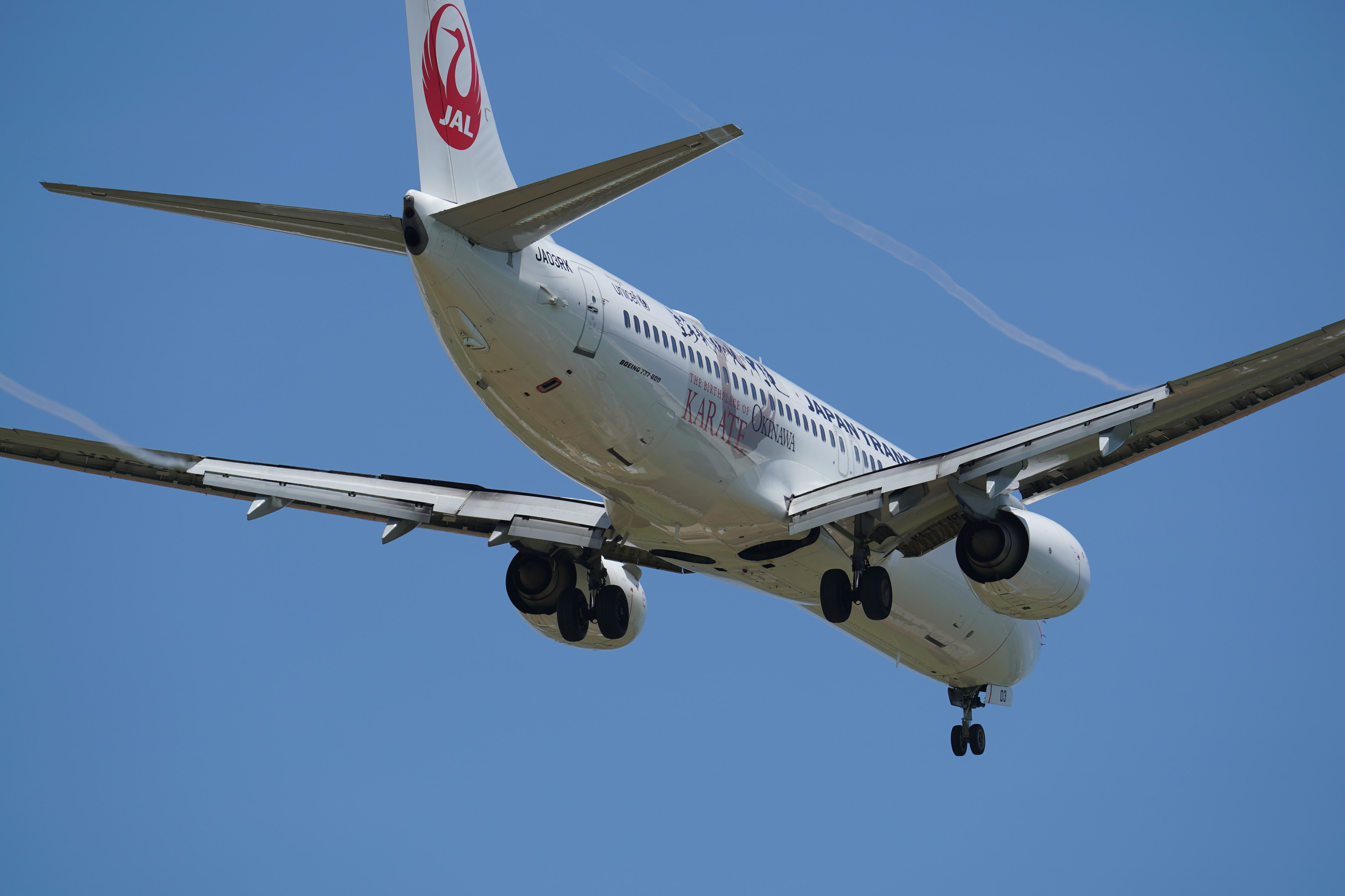 α9 / FE 400mm F2.8 GM OSS / 400mm / シャッター速度優先AE（1/1,600秒・F5.0・-0.7EV）/ ISO 100