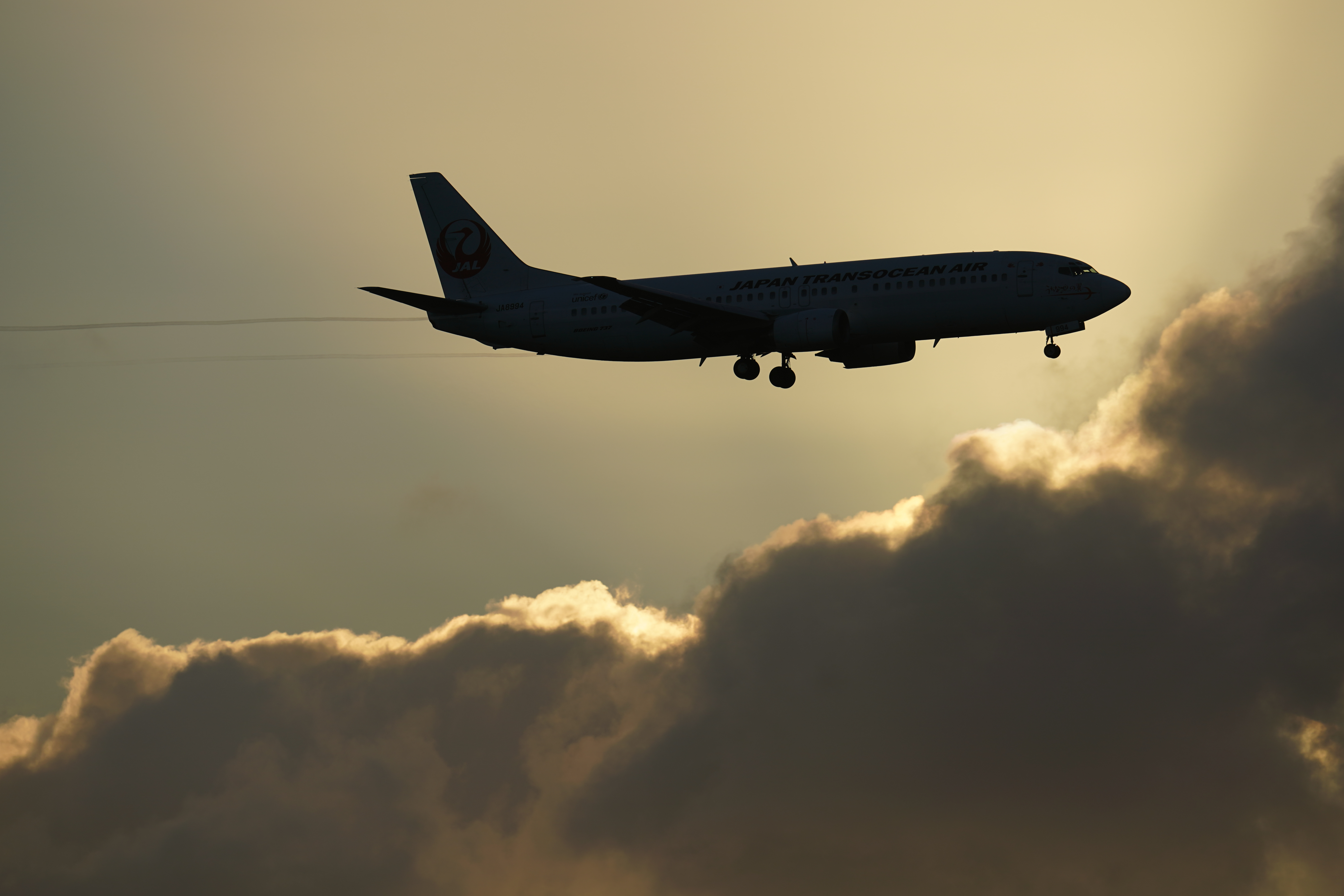 α9 / FE 400mm F2.8 GM OSS / シャッター速度優先AE（1/1,250秒・F5.6・-0.7EV）/ ISO 100 / 400mm