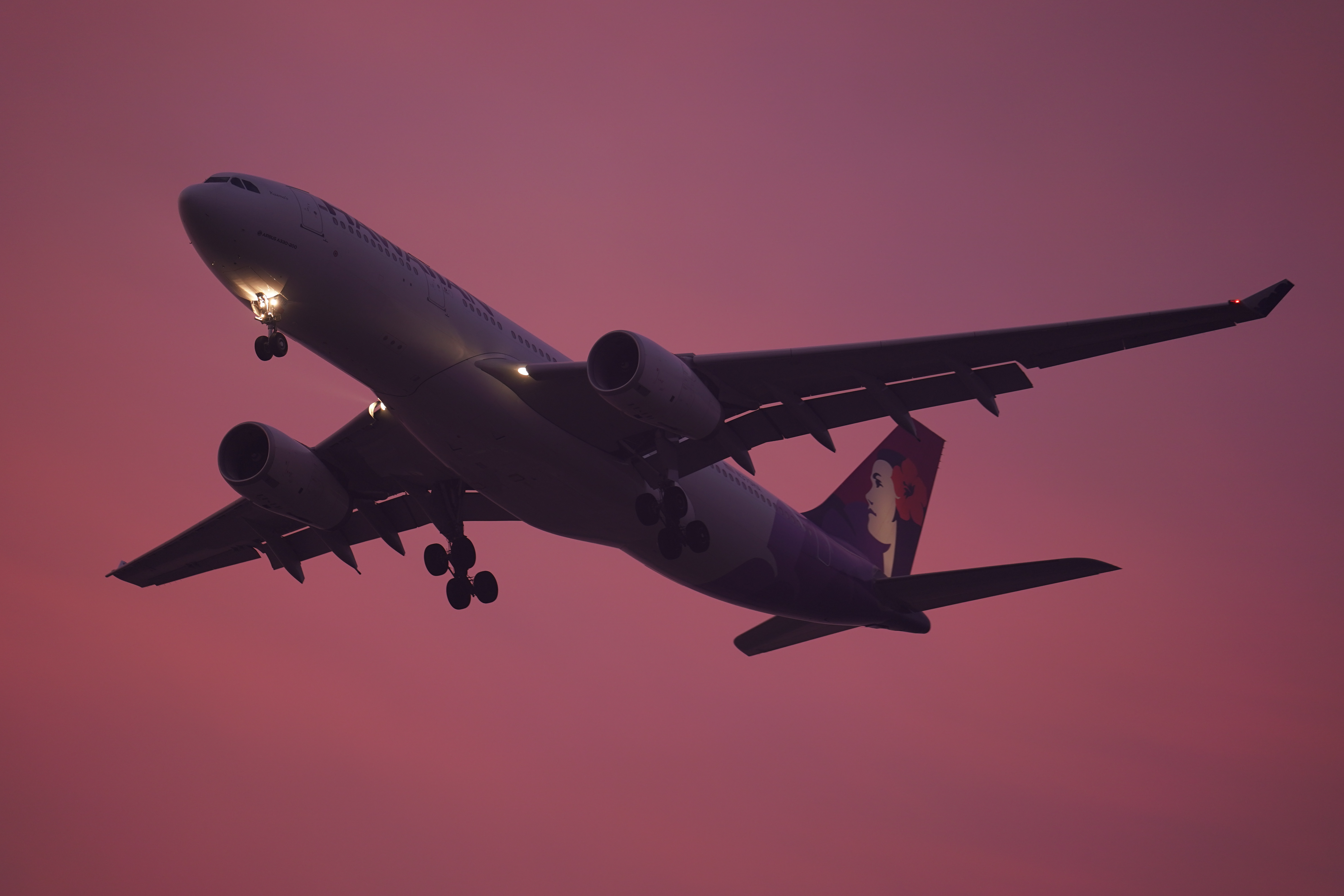 α9 / FE 400mm F2.8 GM OSS / 400mm / シャッター速度優先AE（1/60秒・F2.8・-0.3EV）/ ISO 320