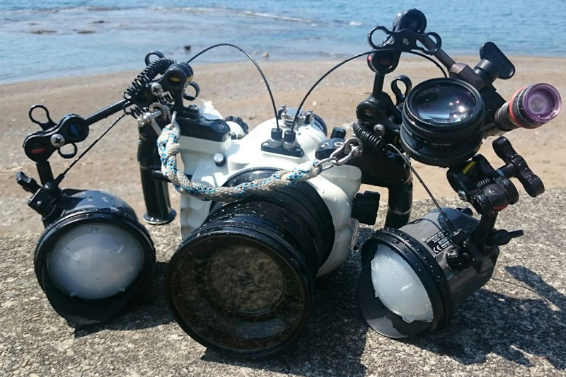 使用機材：Zenjix soratama 72 / Zenjix soratama 72 5mm / Kenko レンズメタルフード LMH67-72 / Kenko レンズメタルフード LMH62-67 / ステップアップリング 52-62mm / Kenko MC CLOSE-UP No.10 / Canon EF40mm F2.8 STM / Canon EOS 5D Mark IV / 水中ハウジング使用