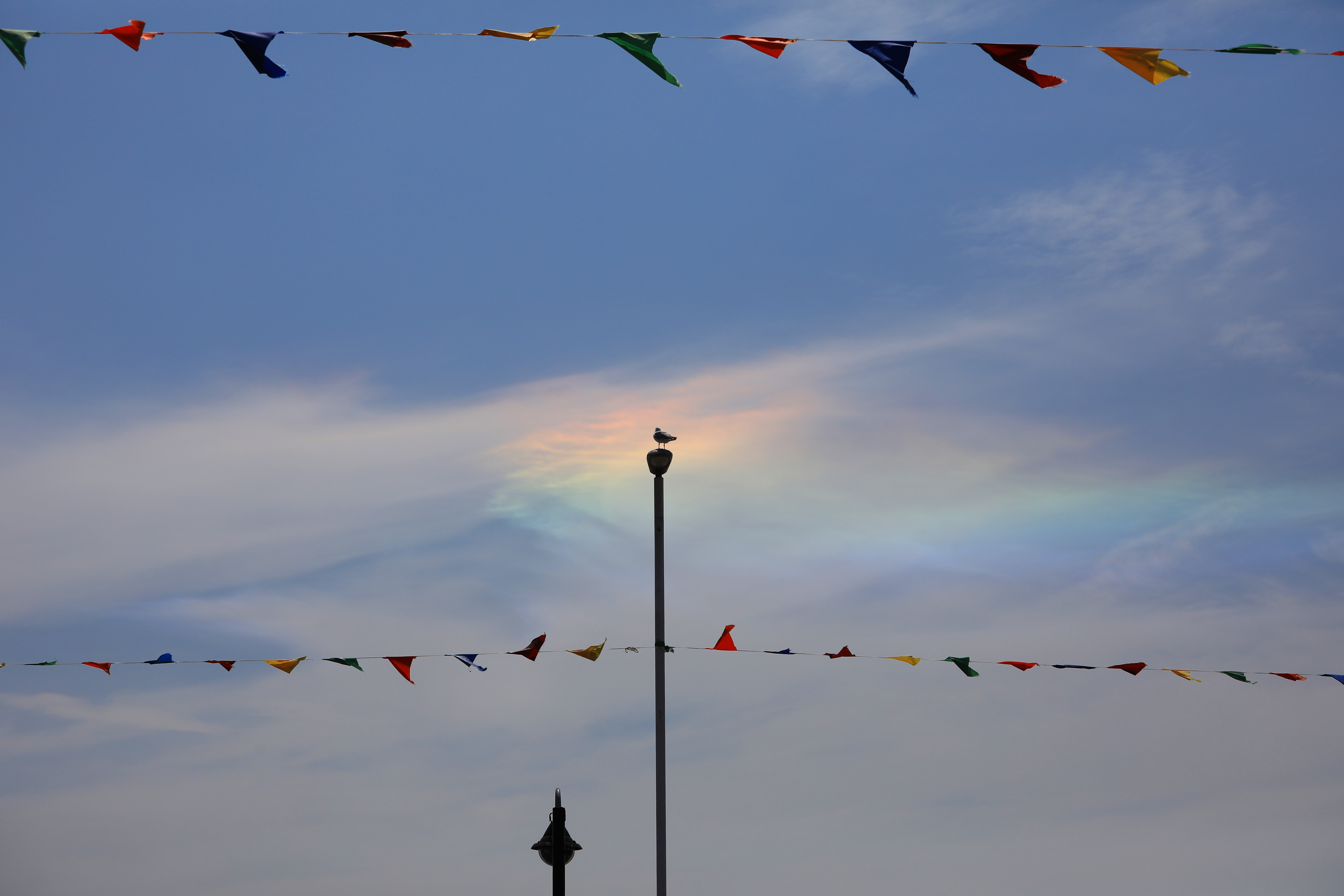 EOS 5D Mark IV / EF70-200mm F4L IS II USM / 70mm / 絞り優先AE（1/4,000秒・F8 / -0.5EV / ISO 200