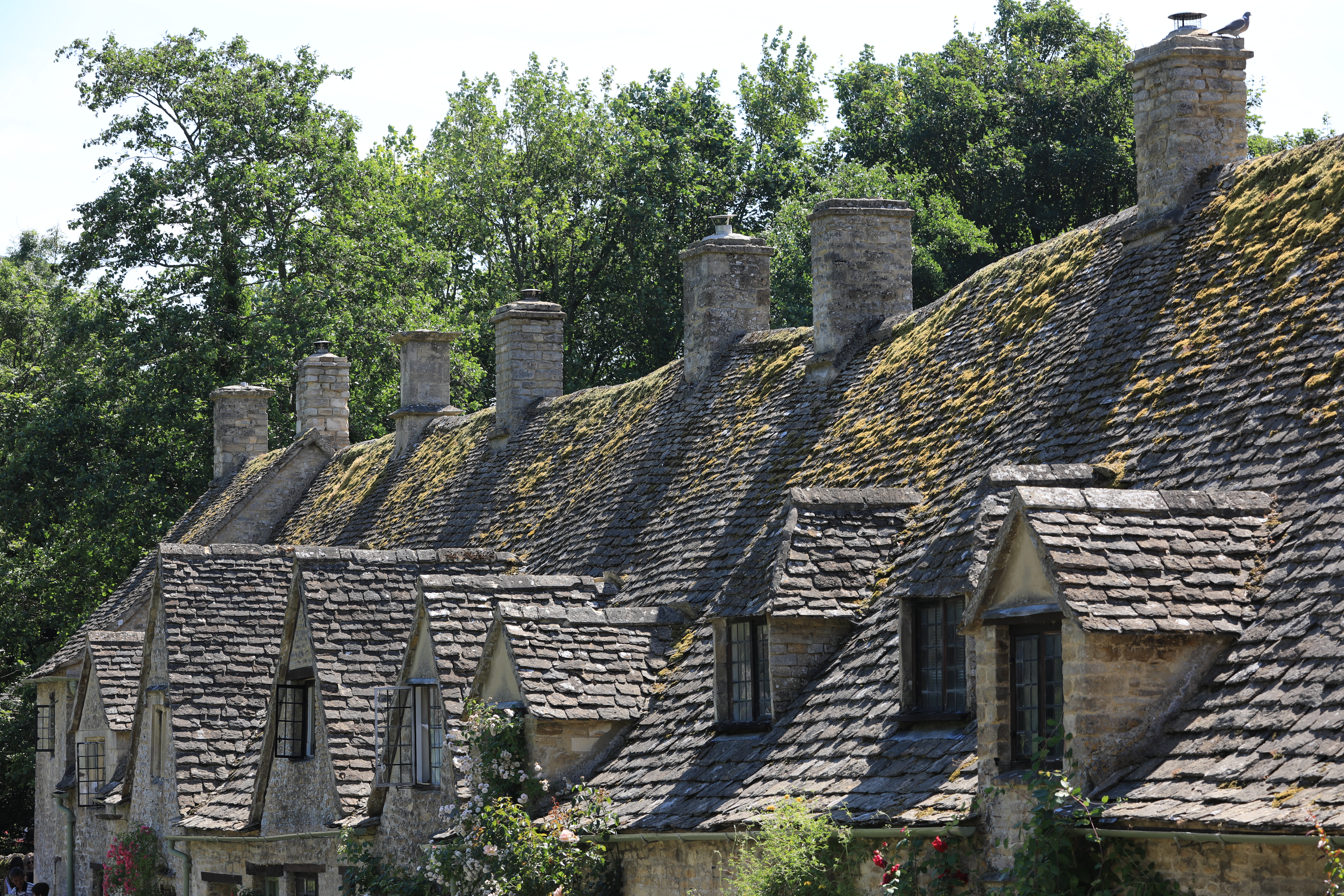 EOS 5D Mark IV / EF70-200mm F4L IS II USM / 108mm / 絞り優先AE（1/100秒・F9・-0.67EV / ISO 400