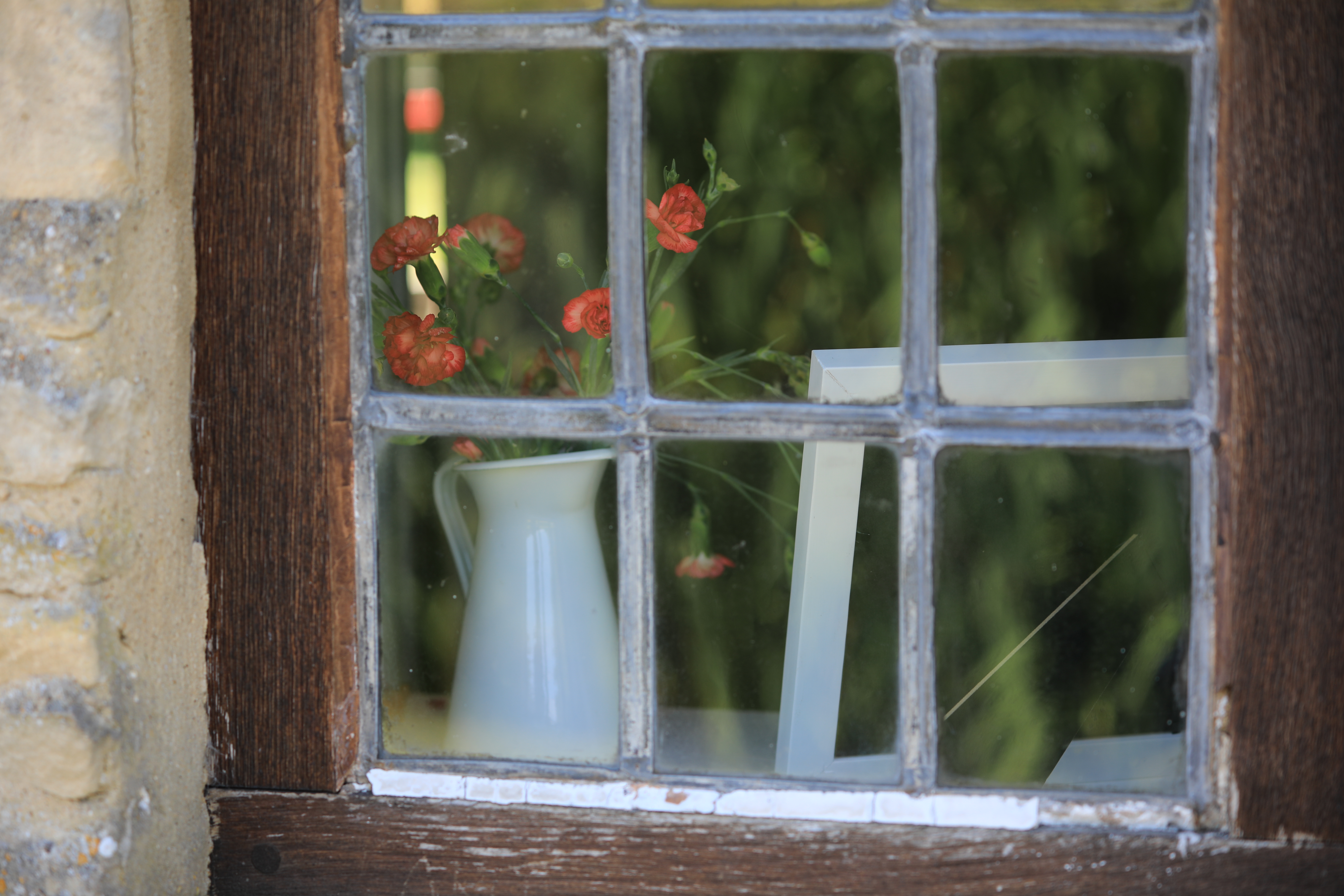 EOS 5D Mark IV / EF70-200mm F4L IS II USM / 100mm / 絞り優先AE（1/750秒・F4・-0.5EV） / ISO 400