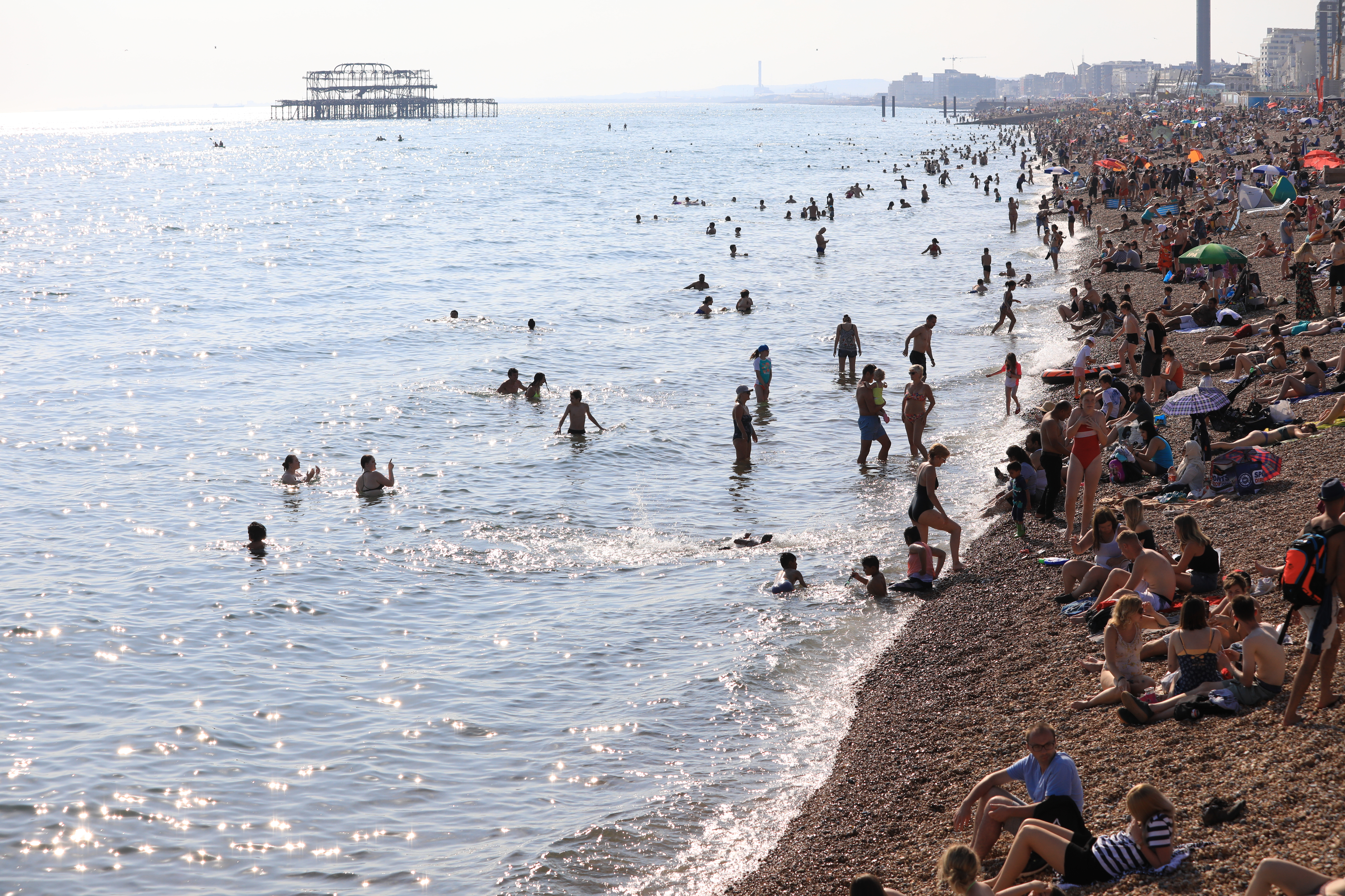 EOS 5D Mark IV / EF70-200mm F4L IS II USM / 70mm / 絞り優先AE（1/2,500秒・F7.1・+0.67EV） / ISO 400