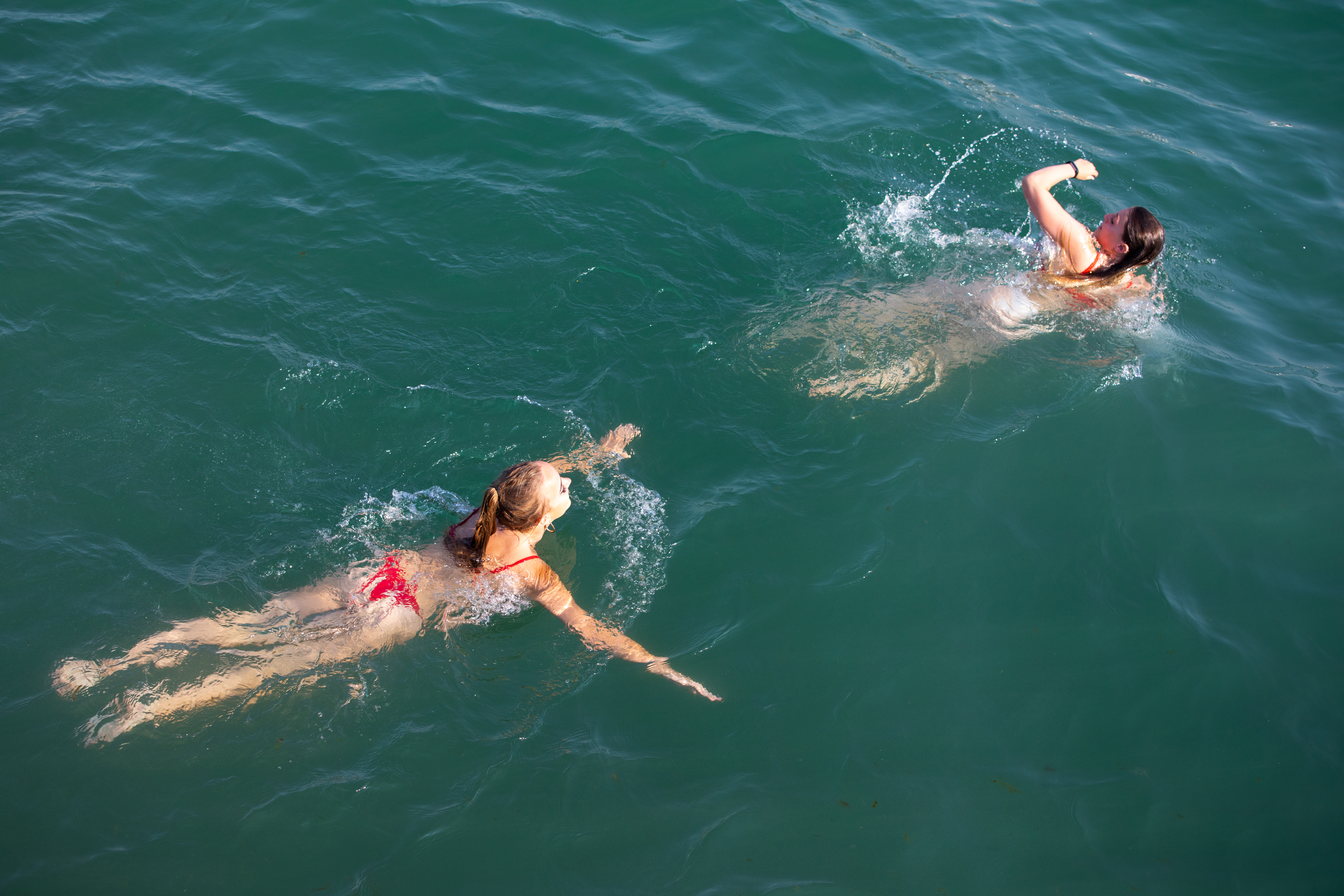 EOS 5D Mark IV / EF70-200mm F4L IS II USM / 130mm / 絞り優先AE（1/800秒・F5.6・±0.0EV / ISO 400