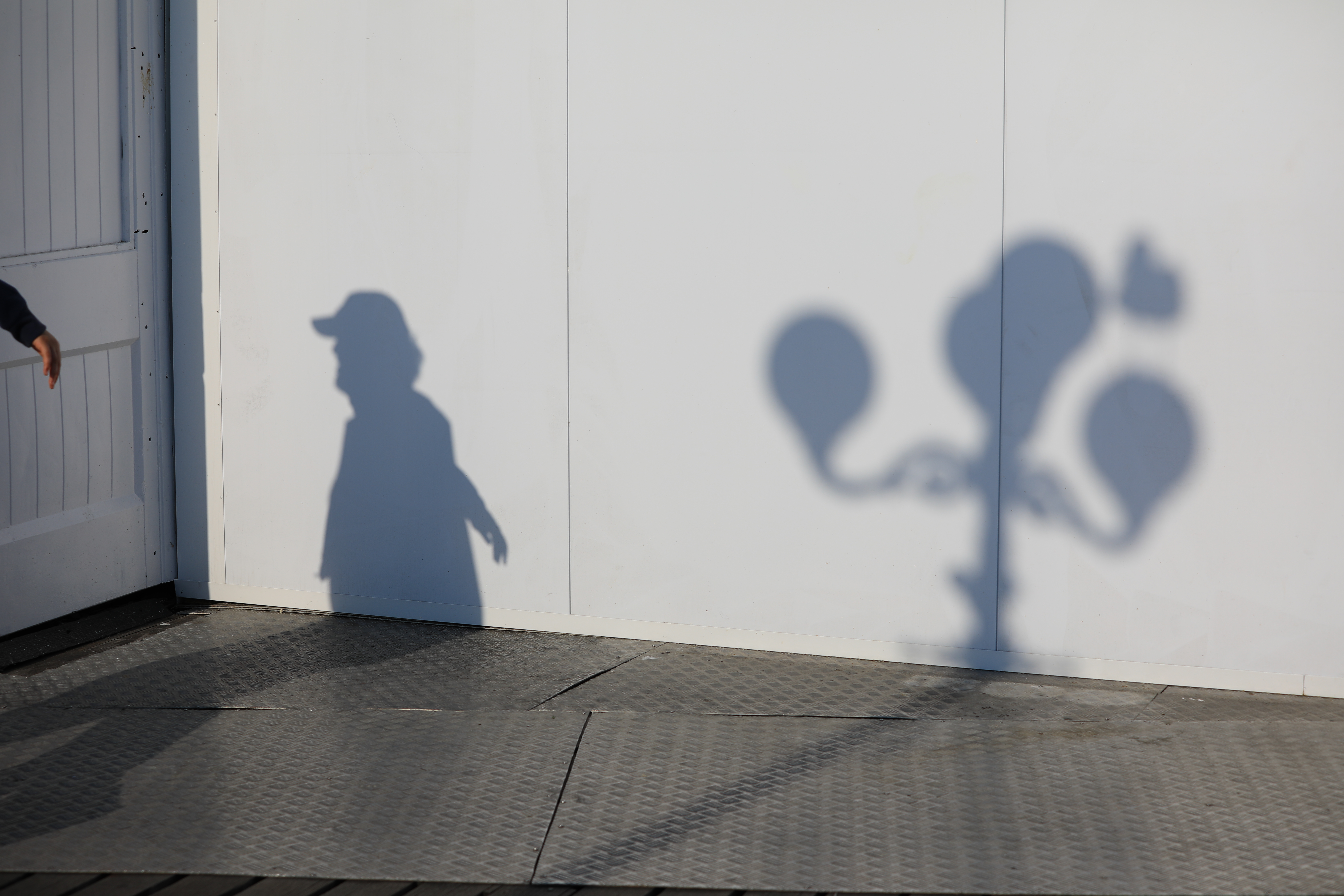 EOS 5D Mark IV / EF70-200mm F4L IS II USM / 70mm / 絞り優先AE（1/2,000秒・F5.6・±0.0EV / ISO 100