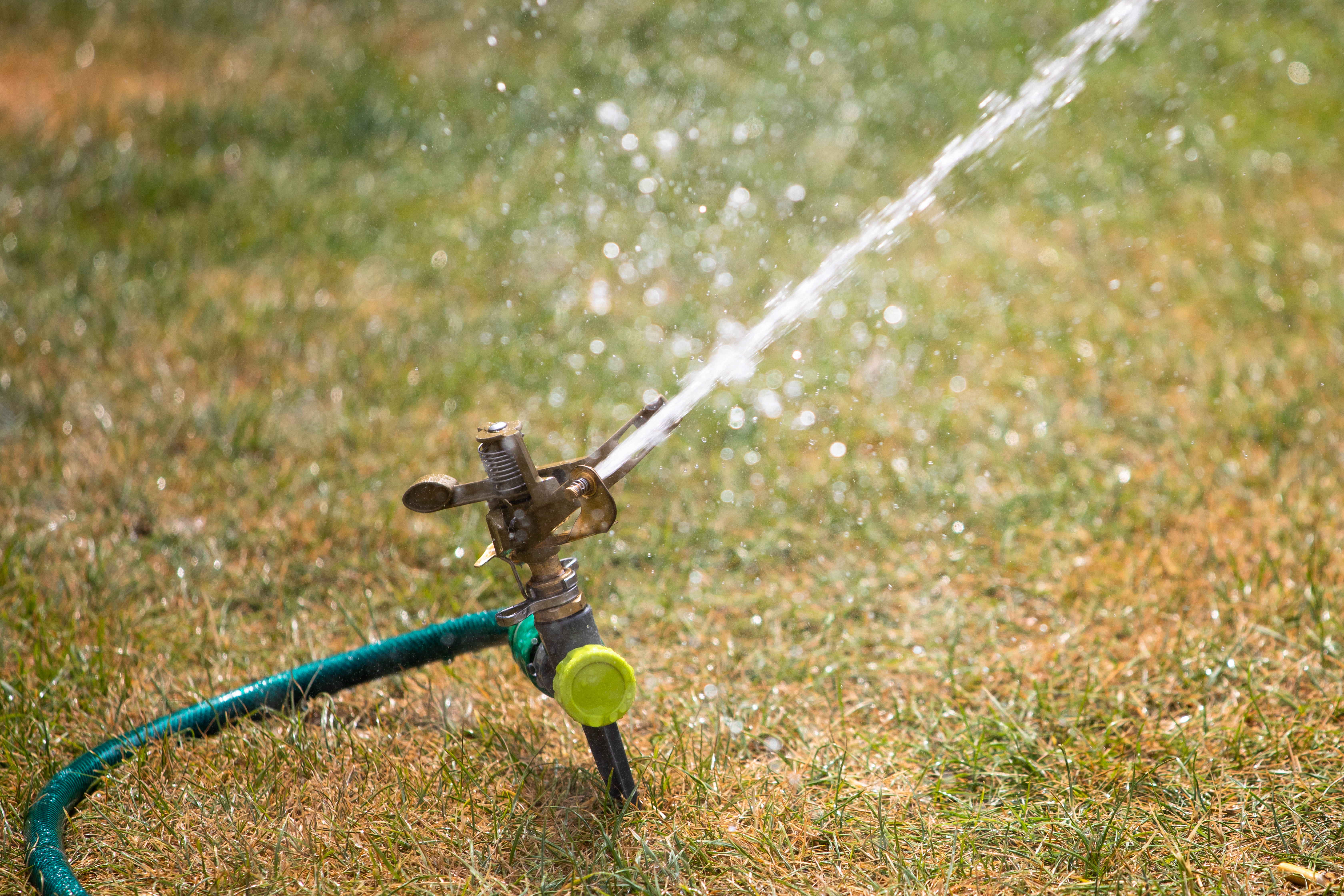 EOS 5D Mark IV / EF70-200mm F4L IS II USM / 200mm / 絞り優先AE（1/2,000秒・F4.0・-0.5EV） / ISO 400