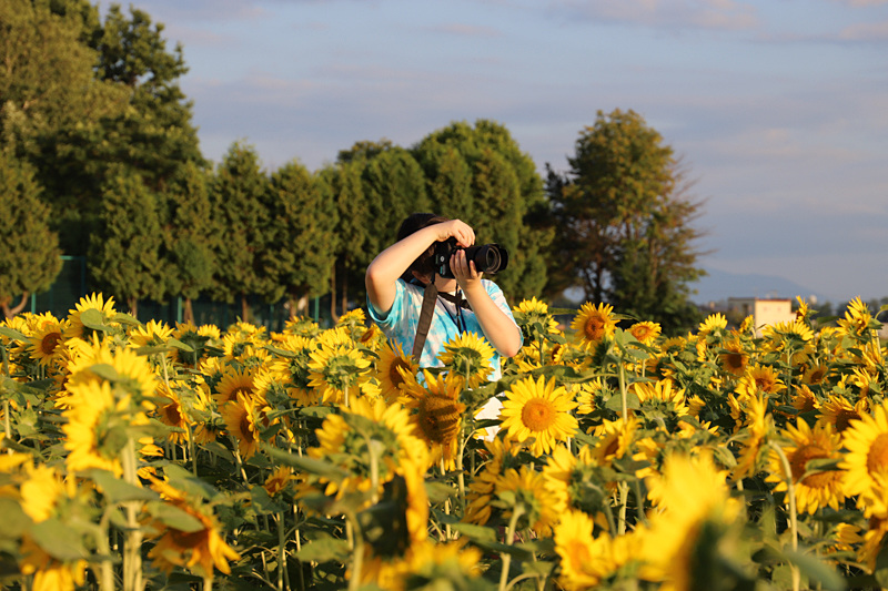 美しい夕景を見られた。