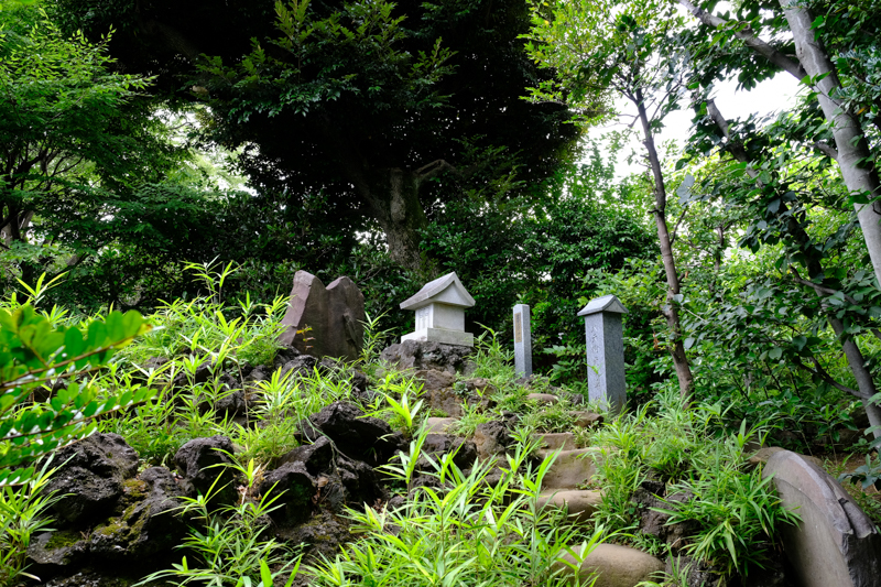 文京区護国寺にある富士塚。寺院にある富士塚は珍しいのだとか。<br><span class="fnt-85">X-H1 / XF16-55mmF2.8 R LM WR / 16mm（24mm相当） / 絞り優先AE（1/40秒・F5.6・+0.3EV） / ISO 200</span>