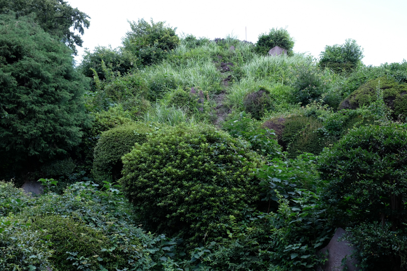 練馬区中里にある大泉富士。ここの富士塚は巨大で、自然の土でできているため草花が繁茂している。<br><span class="fnt-85">X-H1 / XF16-55mmF2.8 R LM WR / 34mm（51mm相当） / 絞り優先AE（1/50秒・F8.0・+0.3EV） / ISO 1000</span>