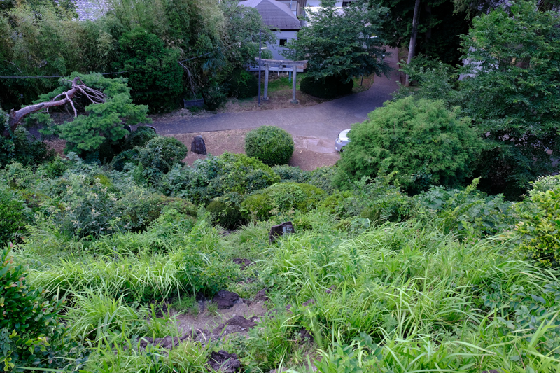 大泉富士山頂から見た景色。登山道に模した道を伝って歩いて登れる。<br><span class="fnt-85">X-H1 / XF16-55mmF2.8 R LM WR / 16mm（24mm相当） / 絞り優先AE（1/20秒・F8.0・+0.3EV） / ISO 800</span>