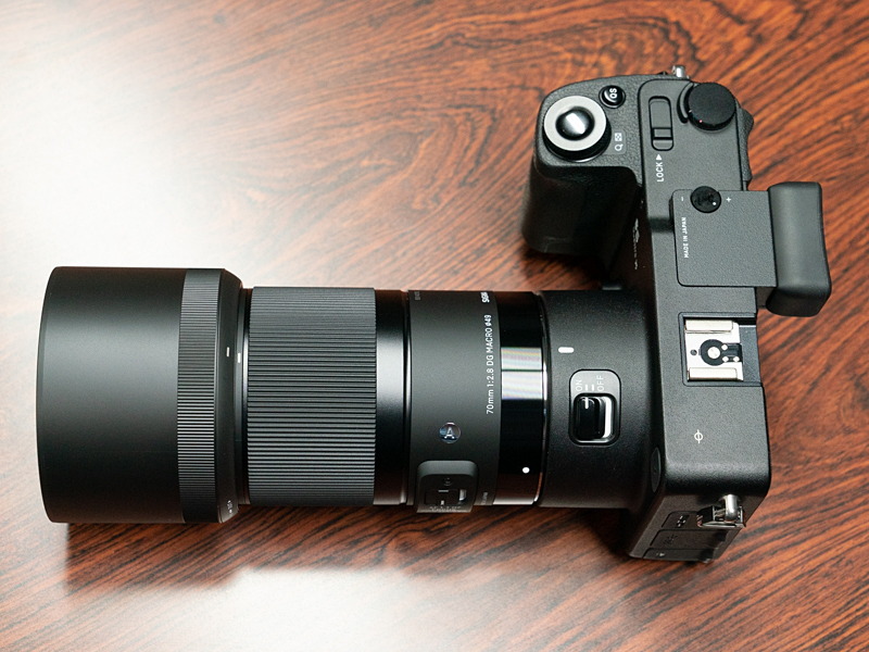 フード装着例。