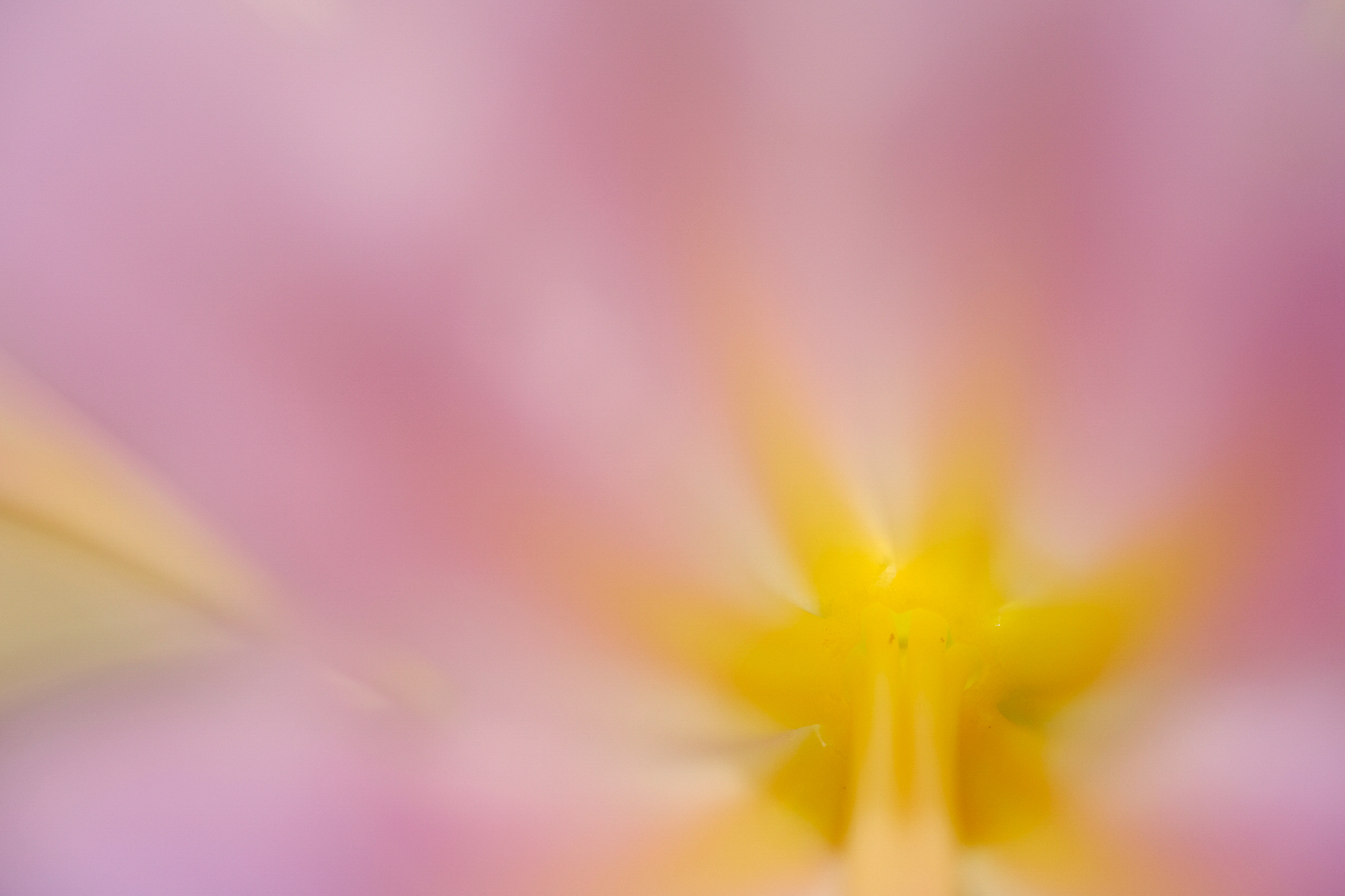 X-H1 / 絞り優先AE（1/220秒・F2.4・+1.0EV） / ISO 200