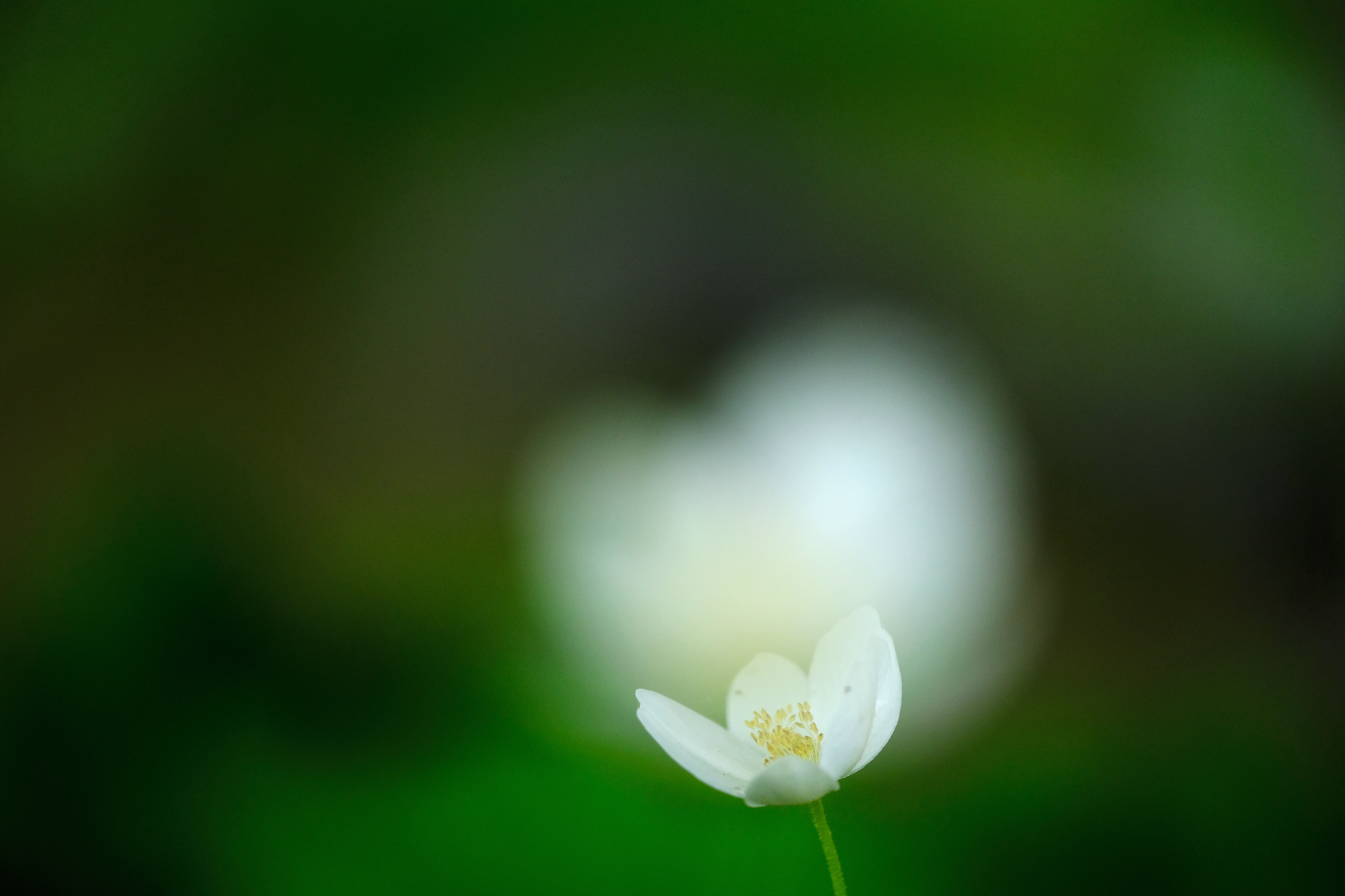 X-H1 / 絞り優先AE（1/3,200秒・F2.8・-1.0EV） / ISO 500