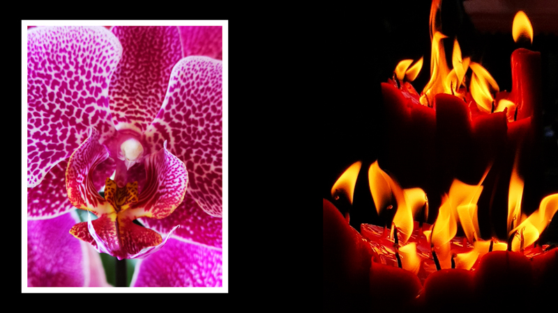 当日のプレゼンテーション資料より（撮影：内田ユキオ）