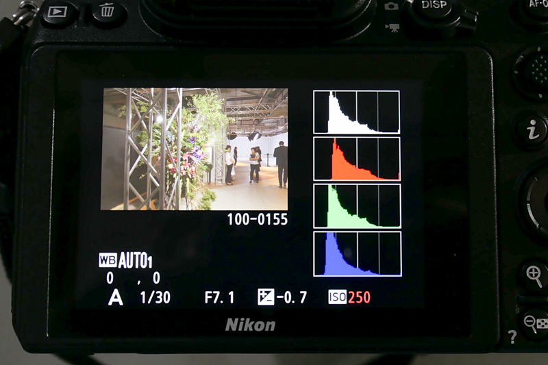 再生画面の情報表示。方向キー上下で表示できる（デフォルトでは出ない）。