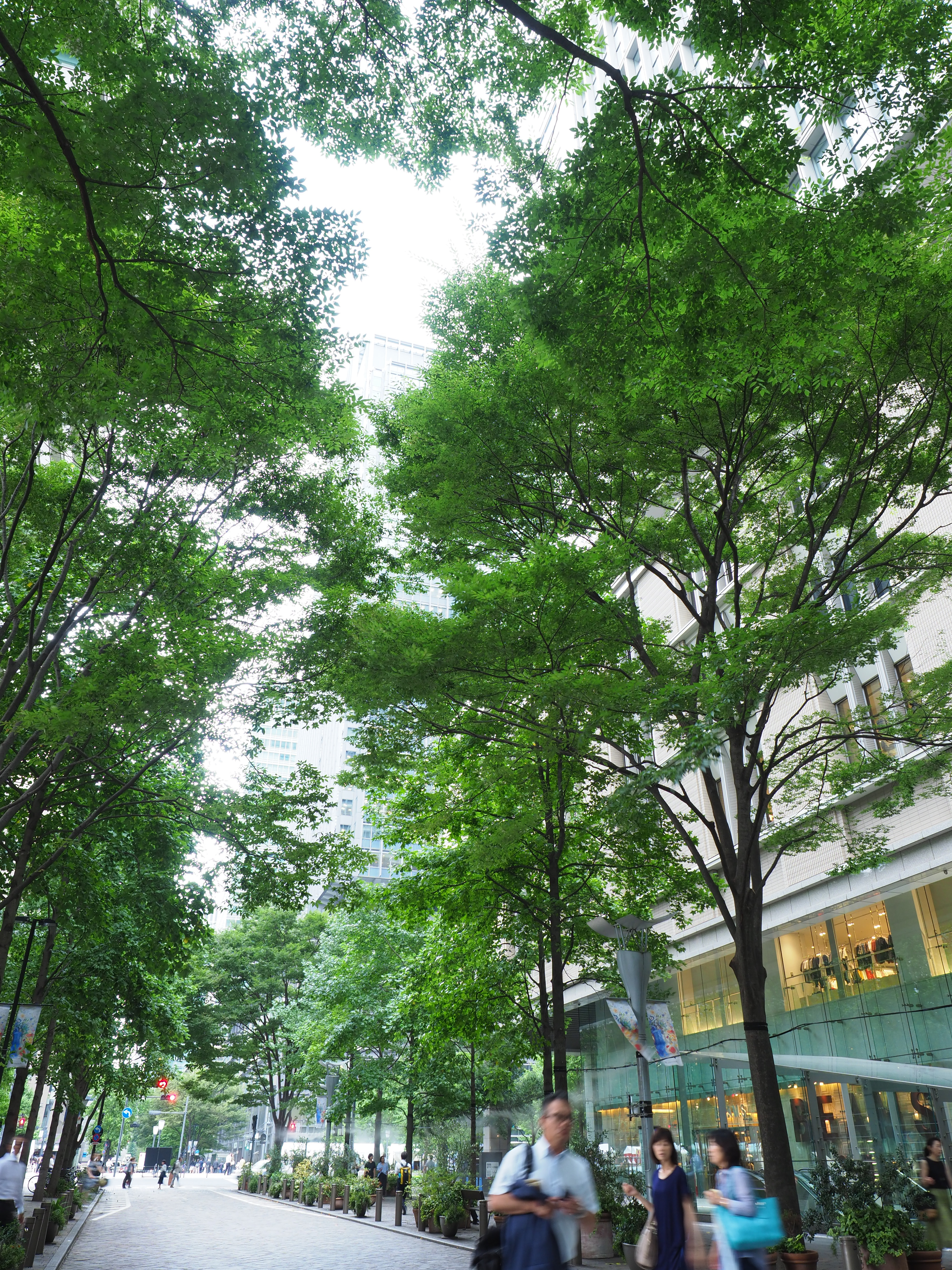 OM-D E-M1 Mark II / M.ZUIKO DIGITAL ED 12-40mm F2.8 PRO / 12mm（35mm判換算24mm相当）/ 絞り優先AE（1/10秒・F5.6・+0.7EV）/ ISO 200 / NDなし