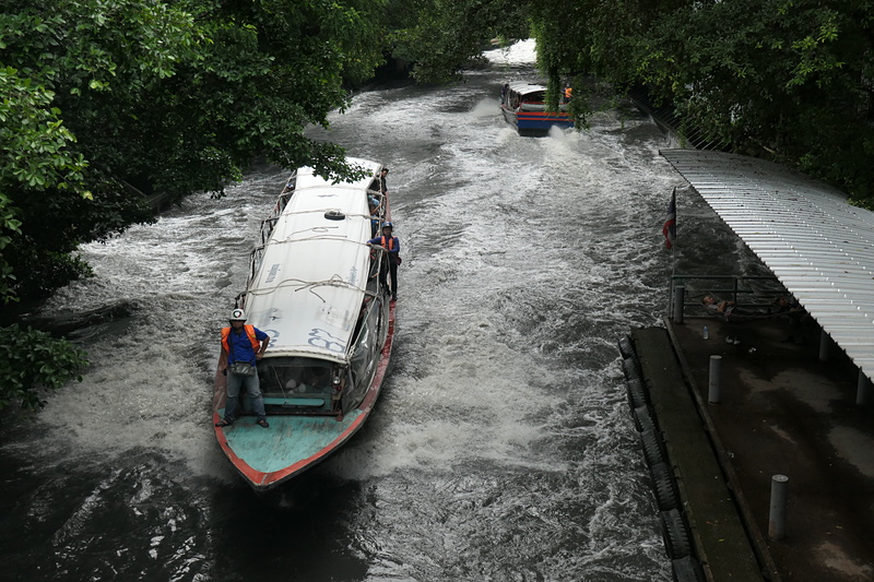 LEICA C-LUX / 14.7mm（40mm相当）/ 絞り優先AE（1/800秒 / F4.5 / ±0EV）/ ISO 400