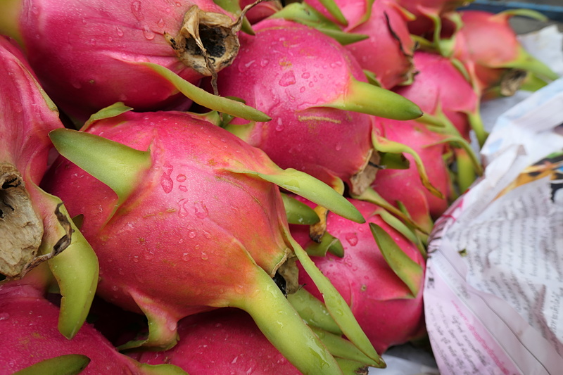 LEICA C-LUX / 9.3mm（26mm相当）/ 絞り優先AE（1/250秒 / F4 / ±0EV）/ ISO125