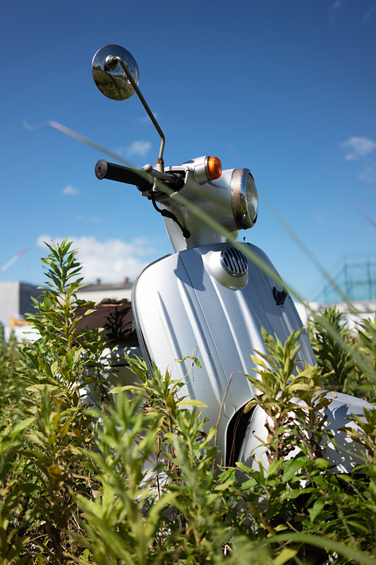 絞り開放で撮影。前ボケ、後ボケ共に非常に素直な描写。ピントの立ち上がりも見事。ライカCL / ISO100 / F2.0 / 1/4,000秒 / WB:オート