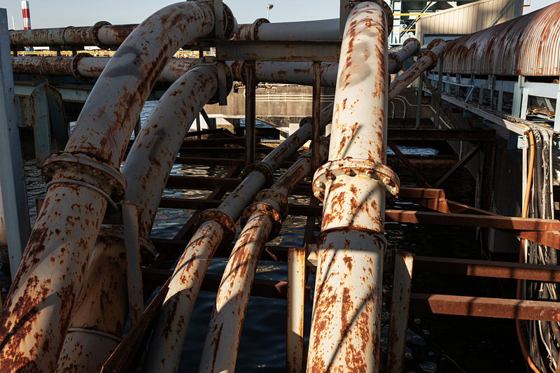 比較的寄りの撮影だが、解像感は揺るぎない。ライカCL / ISO100 / F8 / 1/125秒 / WB:晴天