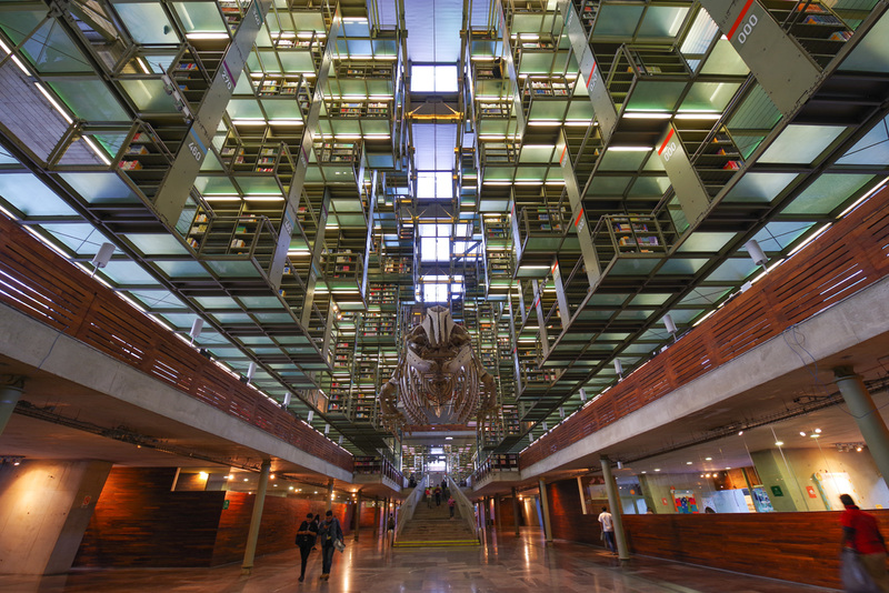 ヴァスコンセロス図書館（メキシコ） / 撮影：田島知華<br><span class="fnt-90">PENTAX K-1 / HD PENTAX-D FA 15-30mmF2.8ED SDM WR</span>