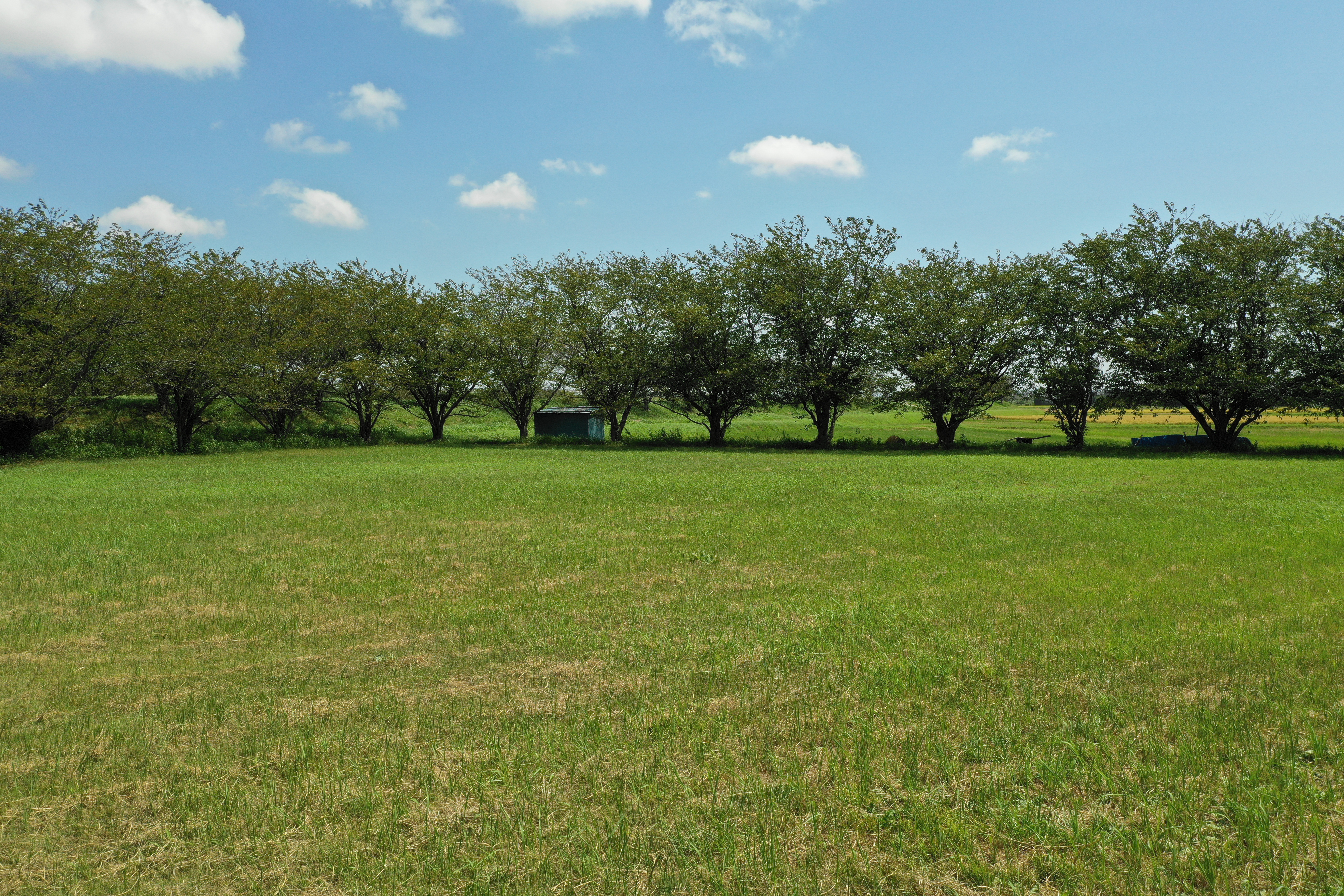 Mavic 2 Pro / 10.26mm（35mm判換算28mm相当） / ノーマルプログラム（1/500秒・F5.6・-0.3EV） / ISO 100