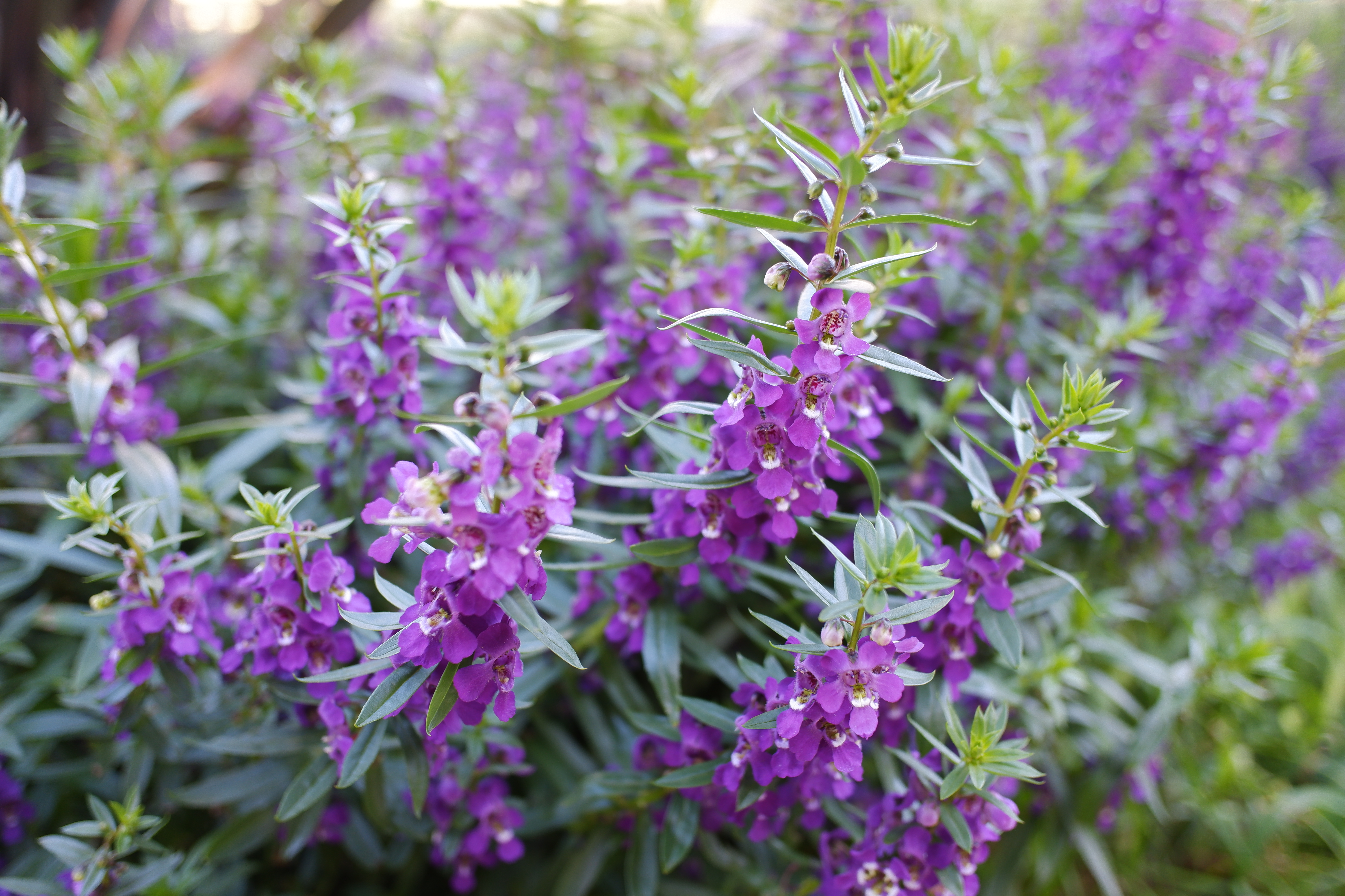 XF10 / 18.5mm（28mm相当）/ 絞り優先AE（1/70秒・F2.8・±0EV） / ISO 200