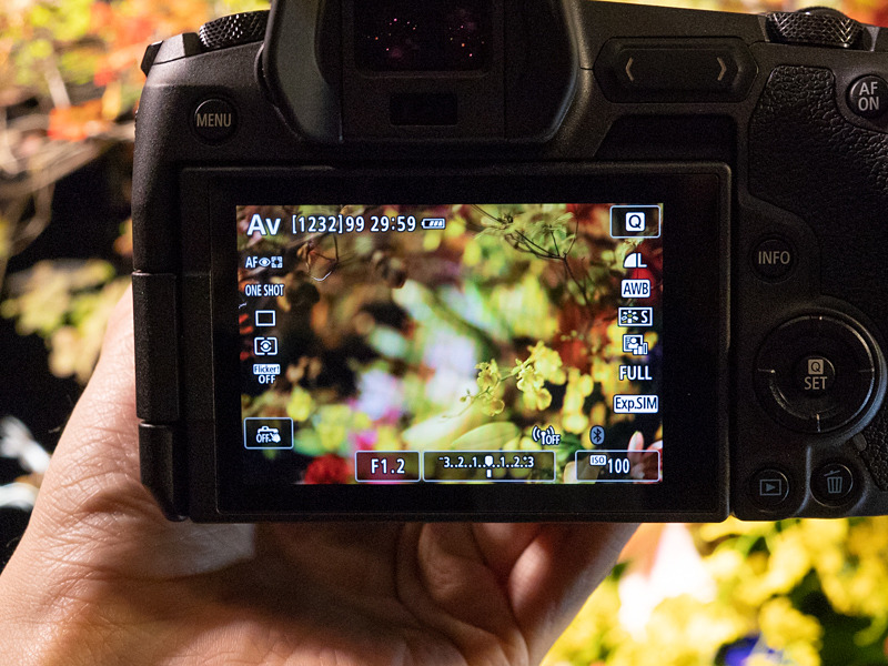 背面モニターは210万ドット。タッチの操作系もEOS Mシリーズなどで馴染みがある。