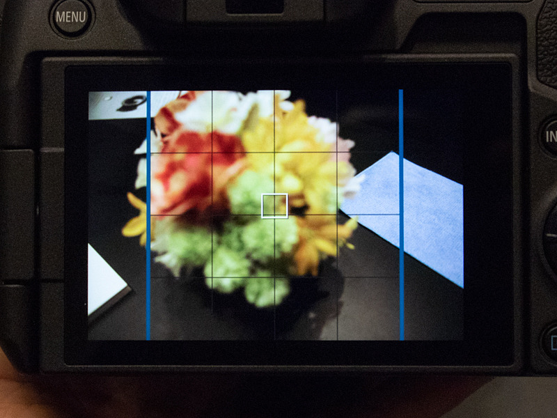 1：1のガイドラインを表示したところ。