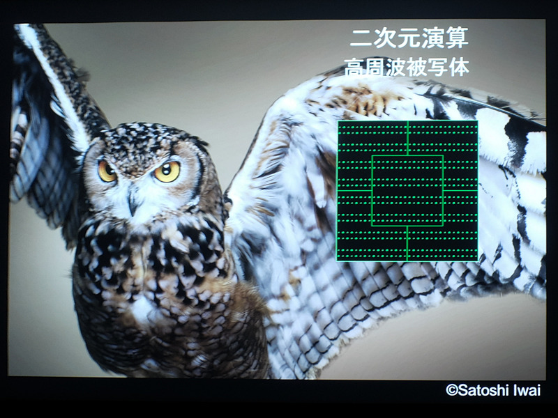 1つのシングルAFポイント内を縦に高密度化したことで、演算のための情報量が増加。AF関係の機能向上を支える。