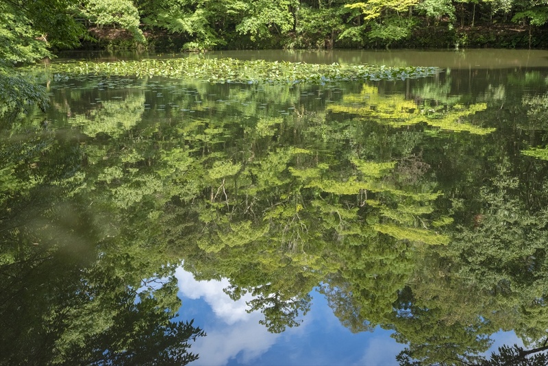 「梅雨の晴れ間」<br><span class="fnt-90">PENTAX K-1 Mark II / HD PENTAX-D FA 24-70mmF2.8ED SDM WR / マニュアル露出（F11・1/200秒） /  ISO 2000 / WB 太陽光 / PLフィルター使用 /  4月下旬 / 三重県伊勢市</span>