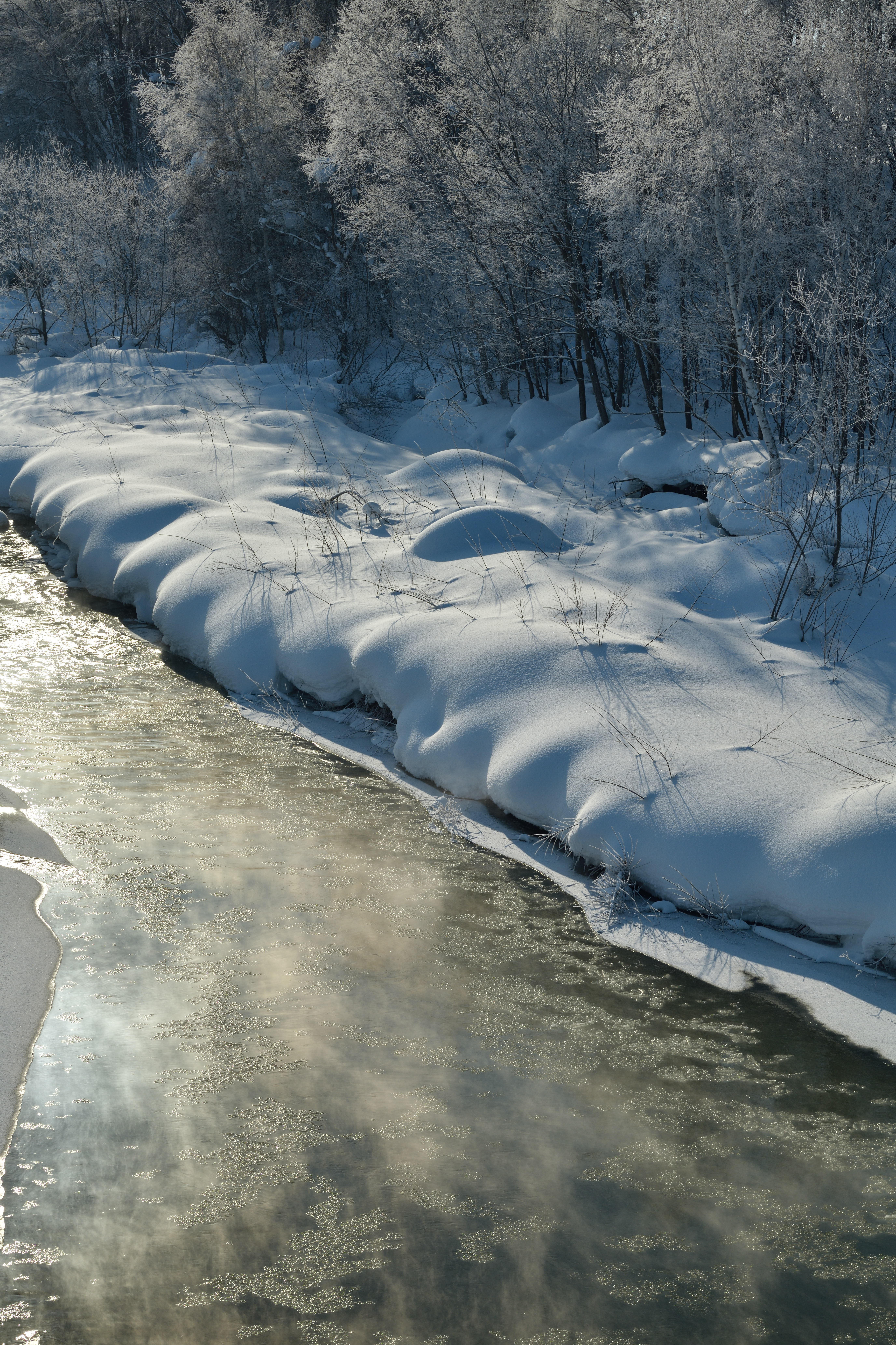 撮影：星野佑佳<br><span class="fnt-85">ニコン D850 / AF-S NIKKOR 70-200mm f/2.8E FL ED VR / 85mm / 絞り優先AE（F16・1/200秒・-3.0EV） / ISO 200</span>