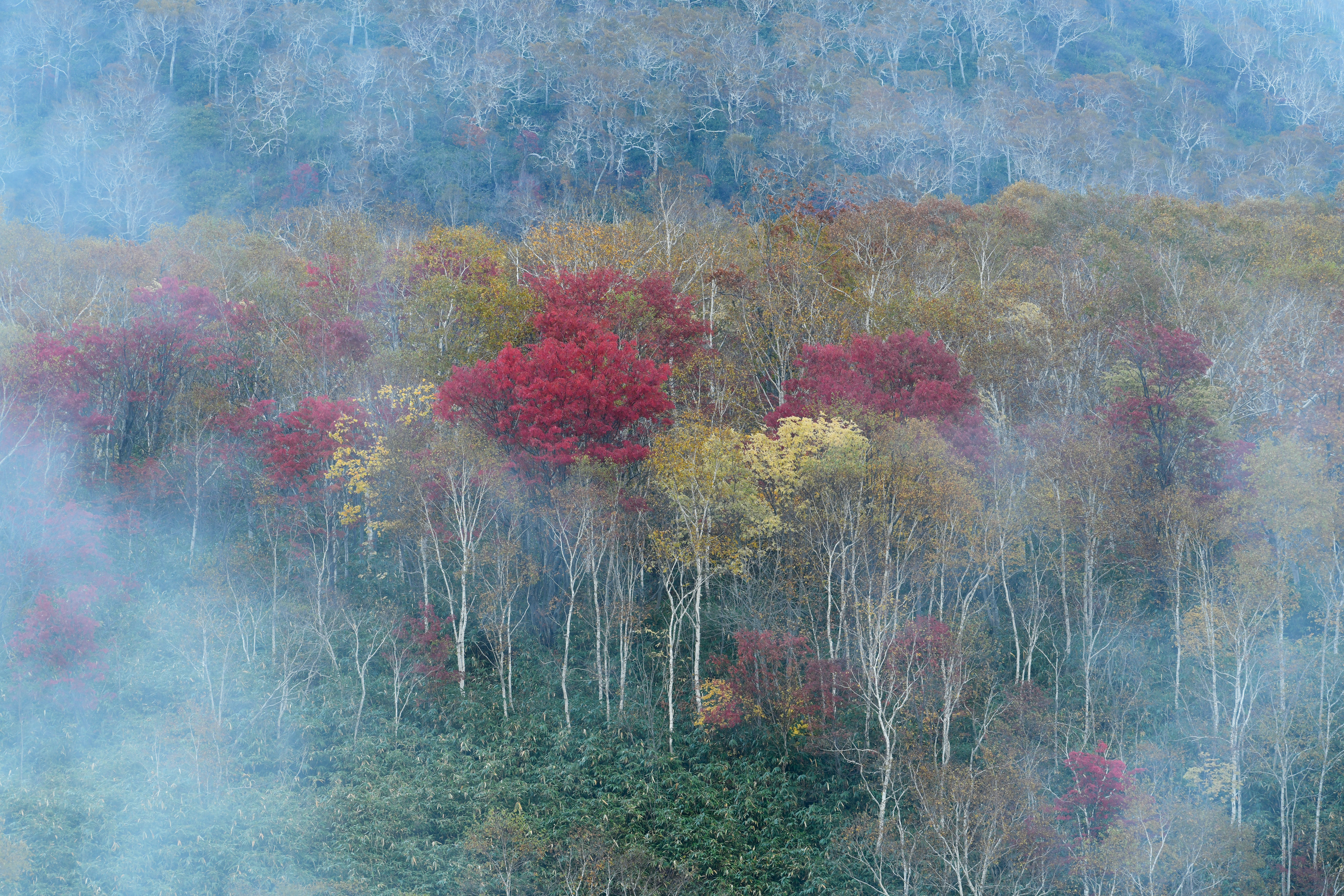 撮影：星野佑佳<br><span class="fnt-85">ニコン D850 / AF-S NIKKOR 70-200mm f/2.8E FL ED VR / 200mm / 絞り優先AE（F8.0・1/20秒・-0.7EV） / ISO 200</span>