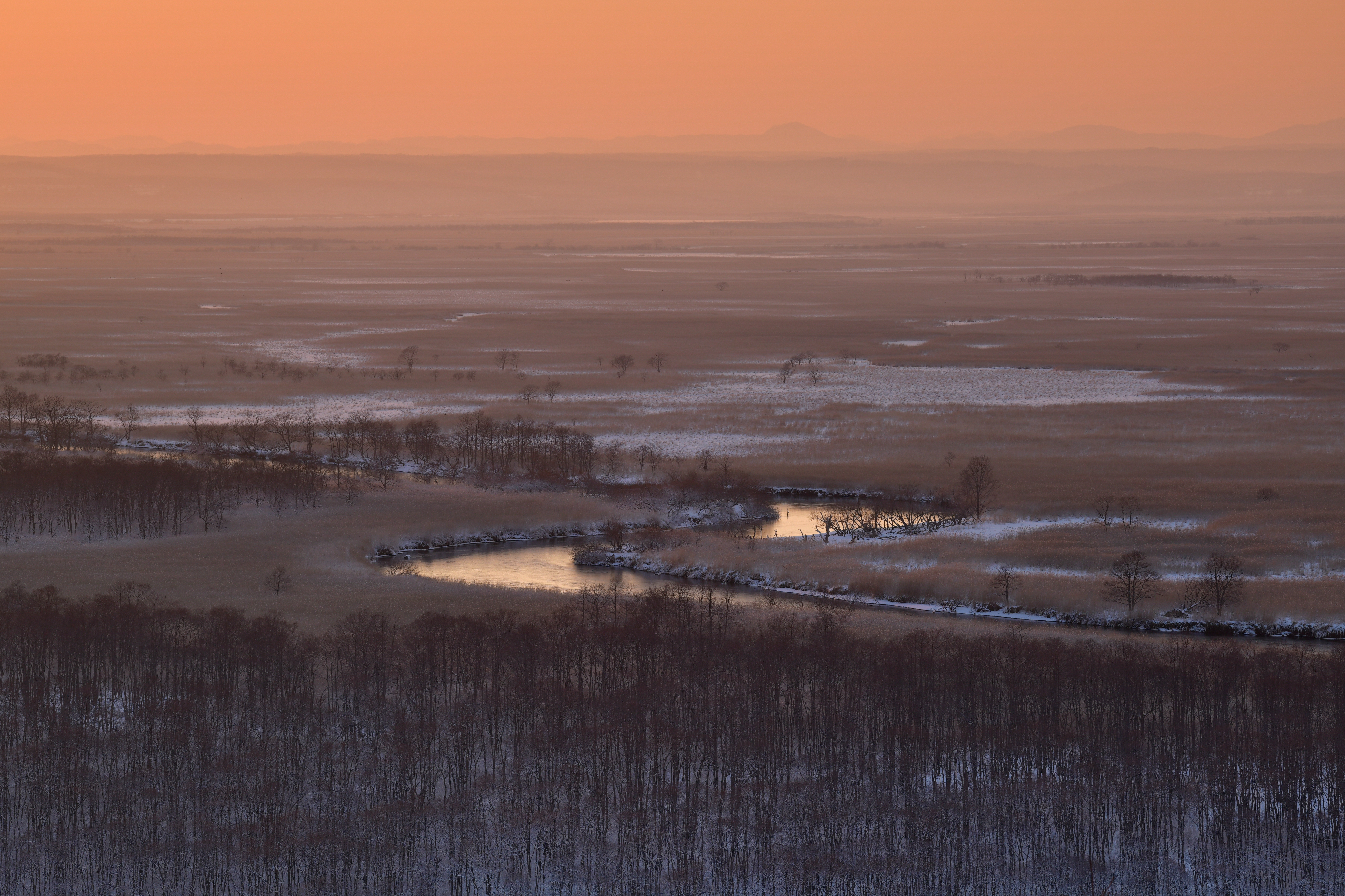 撮影：星野佑佳<br><span class="fnt-85">ニコン D850 / AF-S NIKKOR 70-200mm f/2.8E FL ED VR / 135mm / 絞り優先AE（F11・1/25秒・-0.7EV）  / ISO 100</span>